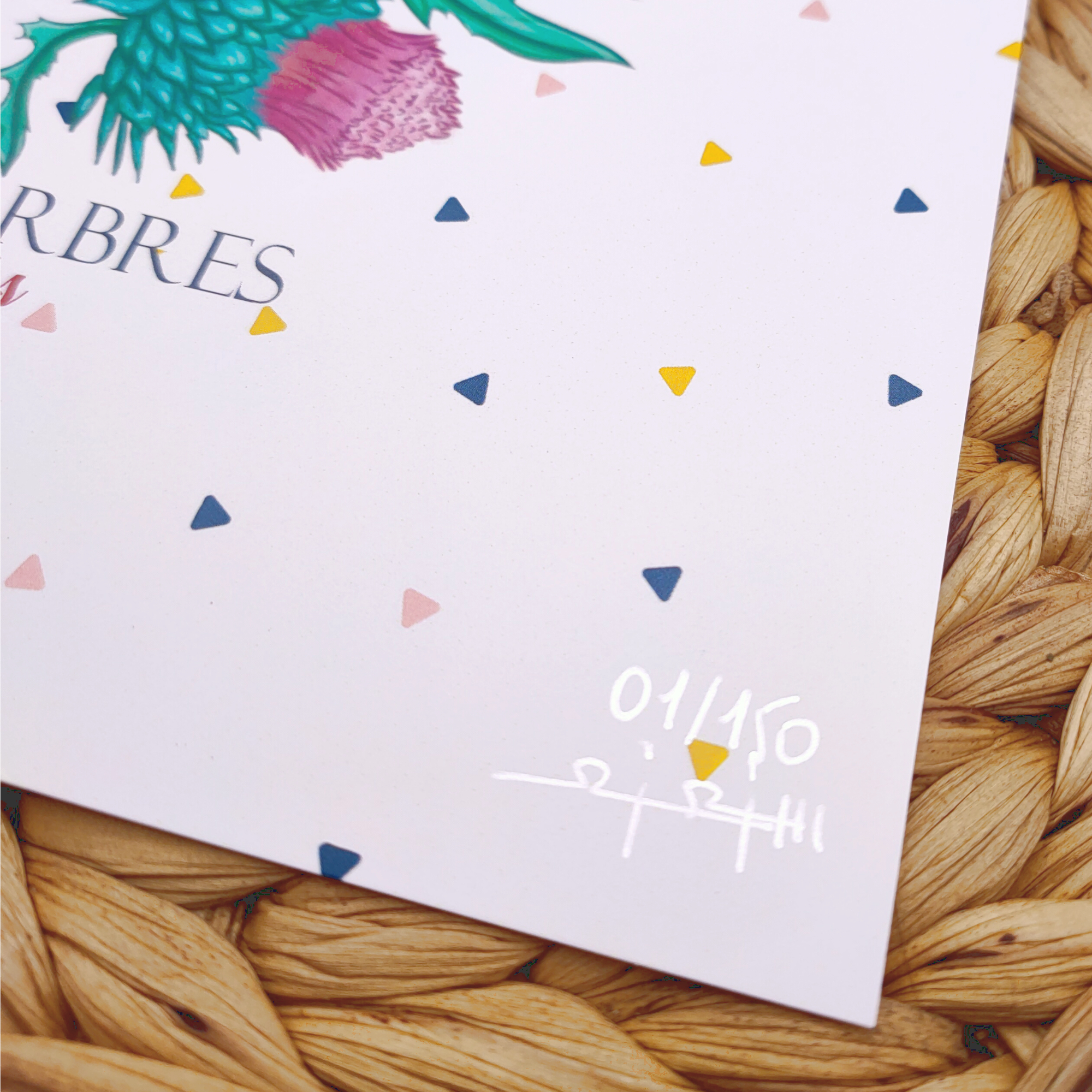 Affiche A4 "Pinson des arbres"