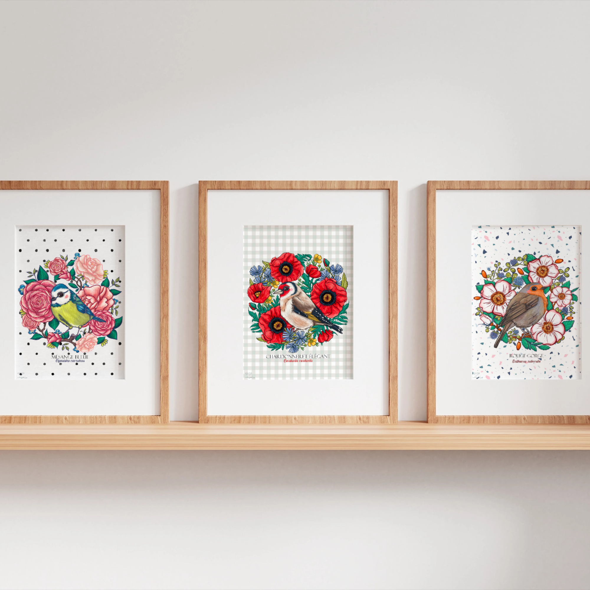 Affiche A4 "Mésange bleue"