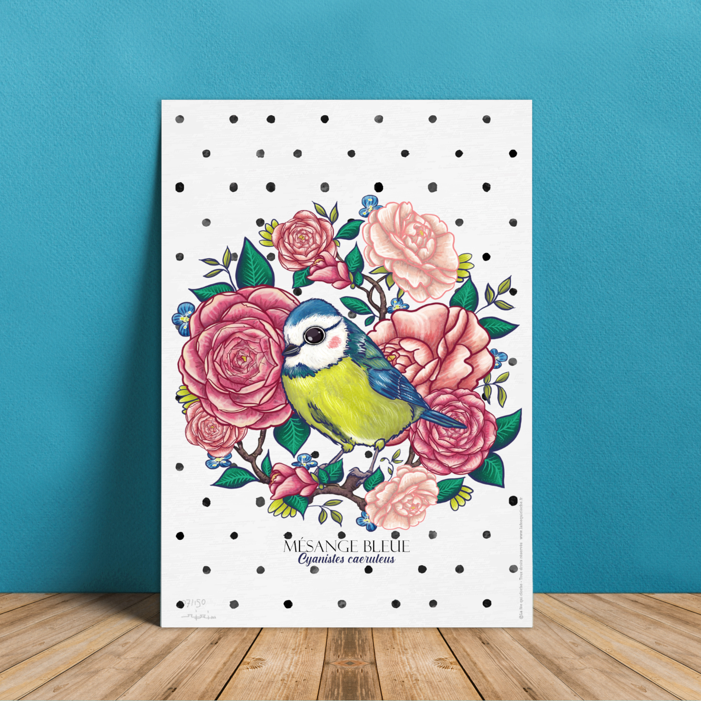 Affiche A4 "Mésange bleue"