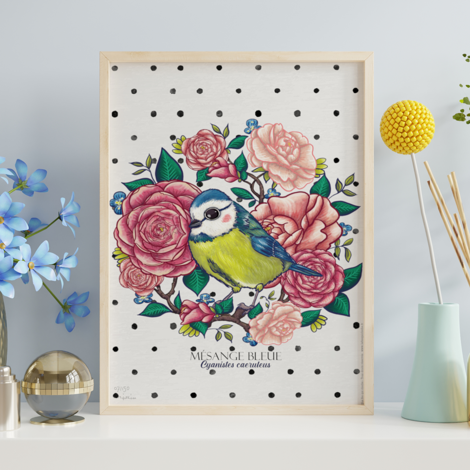 Affiche A4 "Mésange bleue"