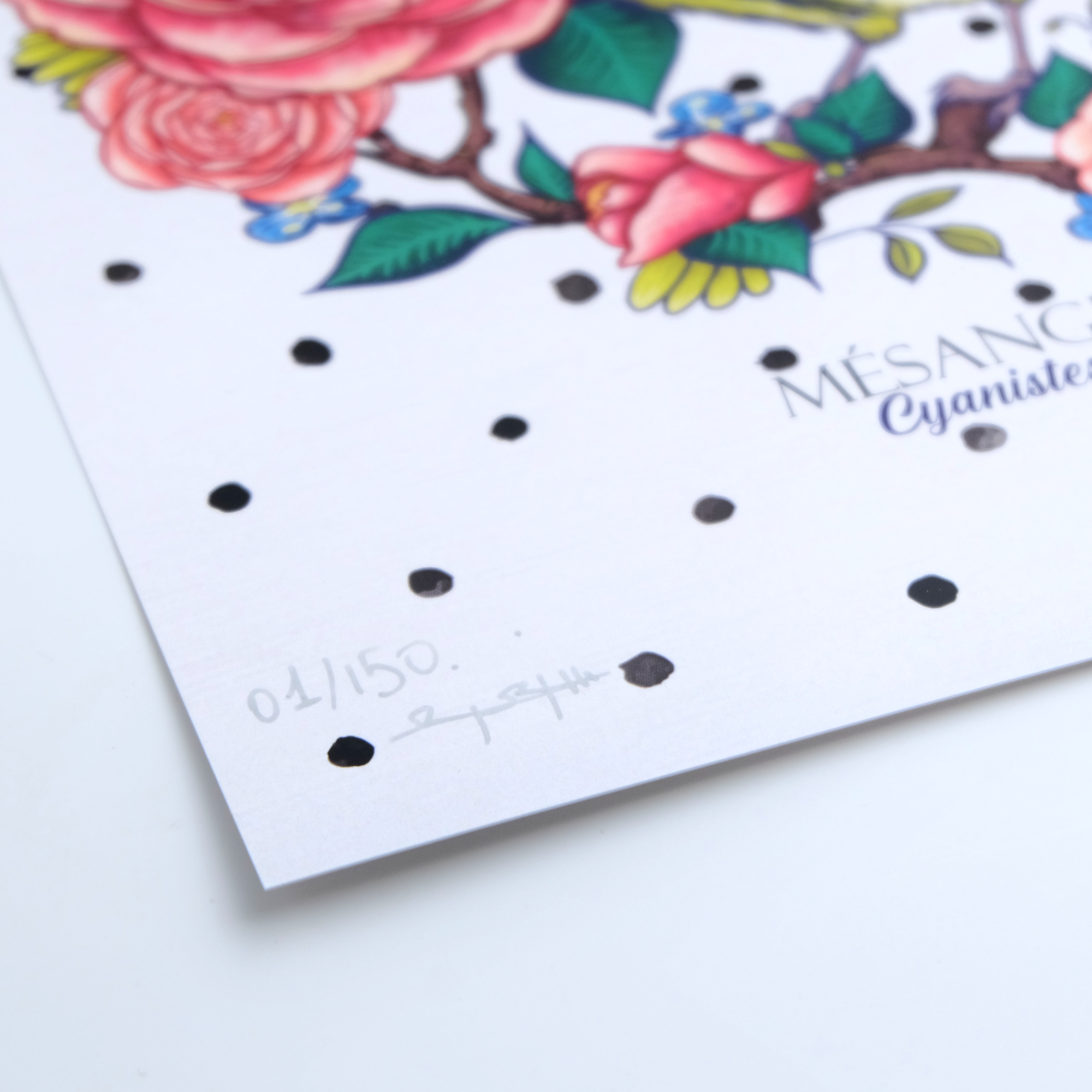 Affiche A4 "Mésange bleue"