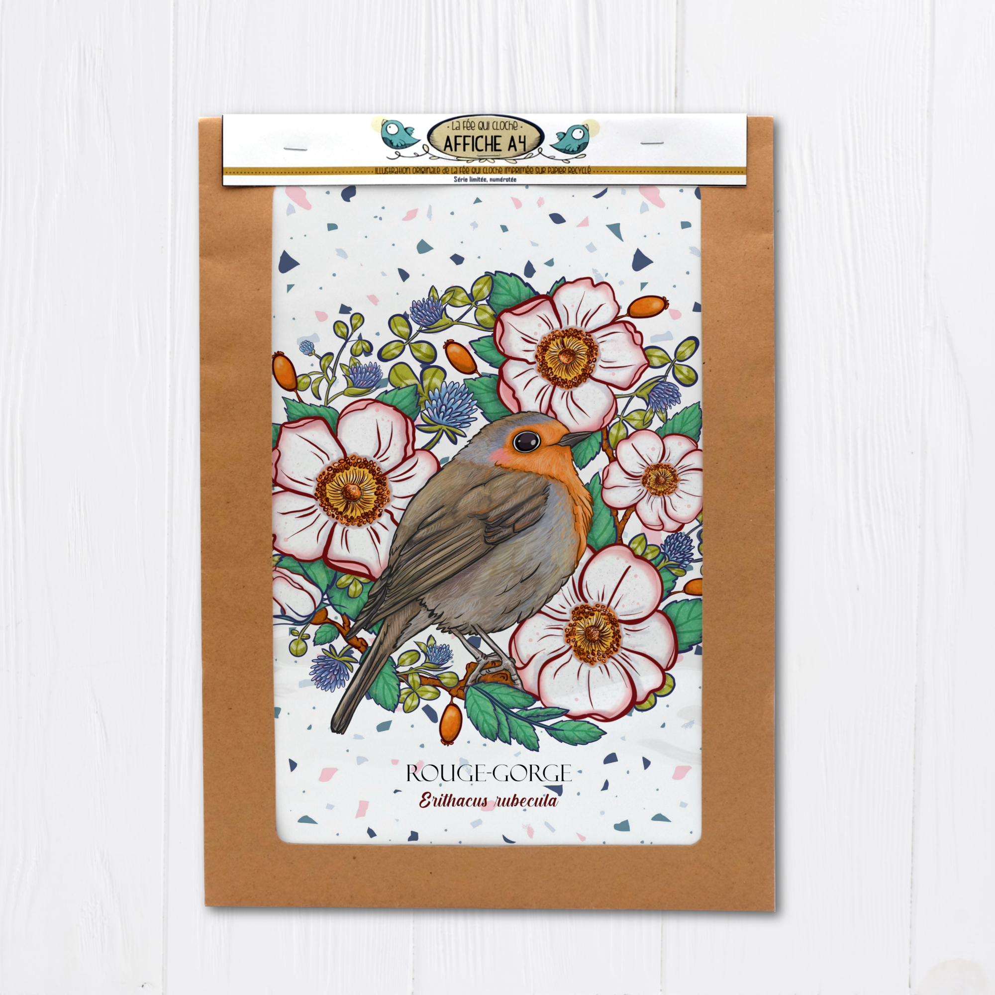 Affiche A4 "Rouge-gorge"