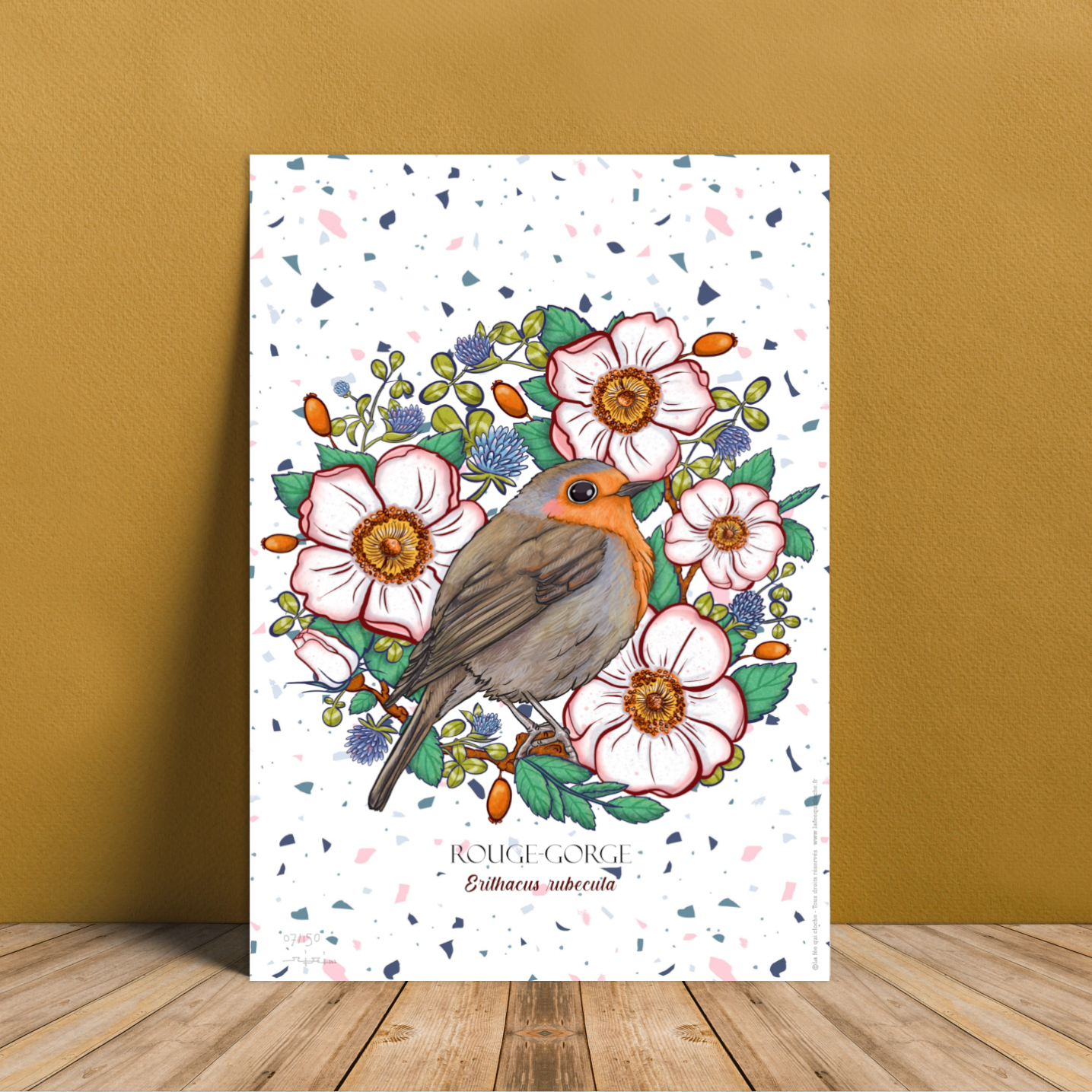 Affiche A4 "Rouge-gorge"
