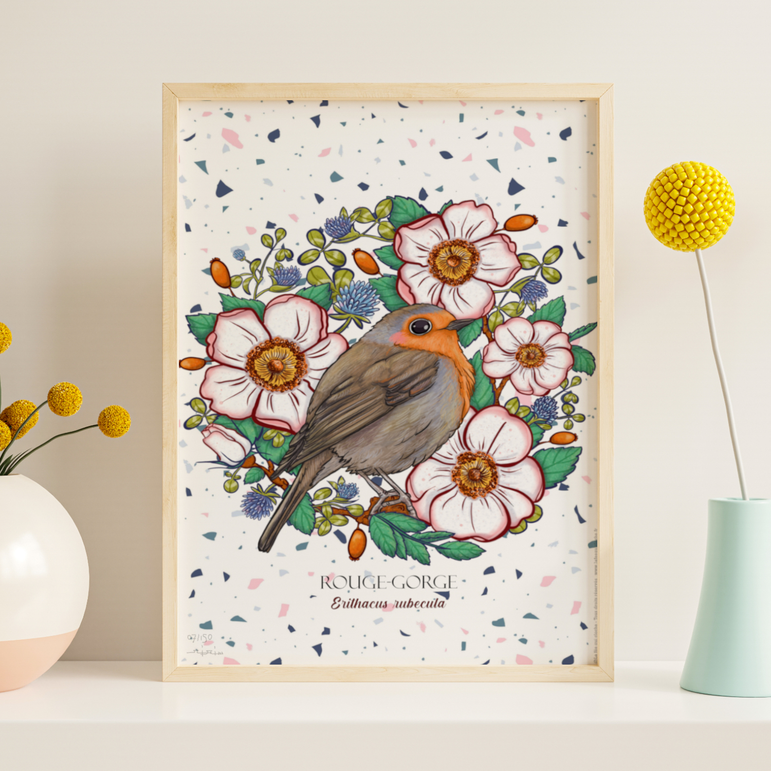 Affiche A4 "Rouge-gorge"