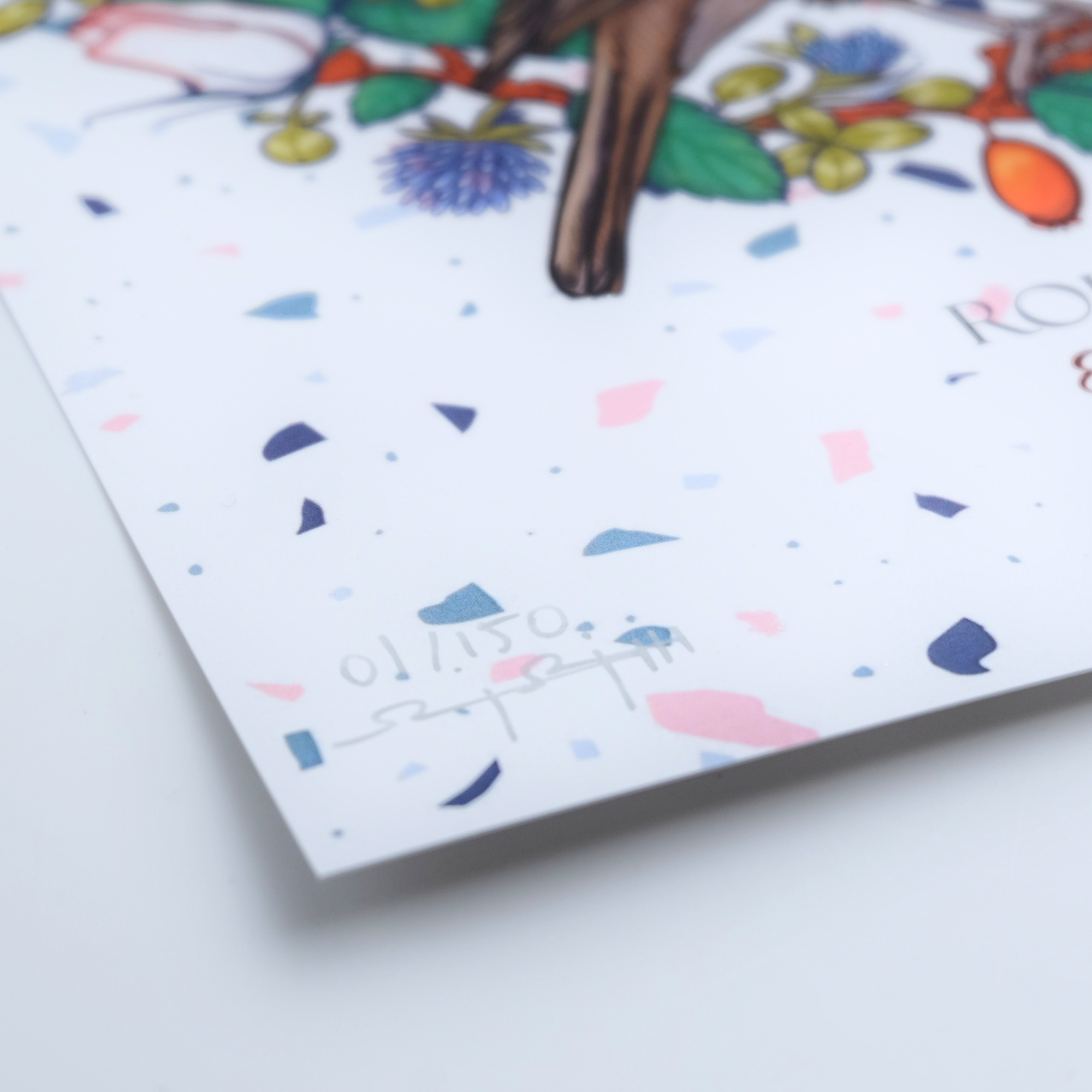 Affiche A4 "Rouge-gorge"