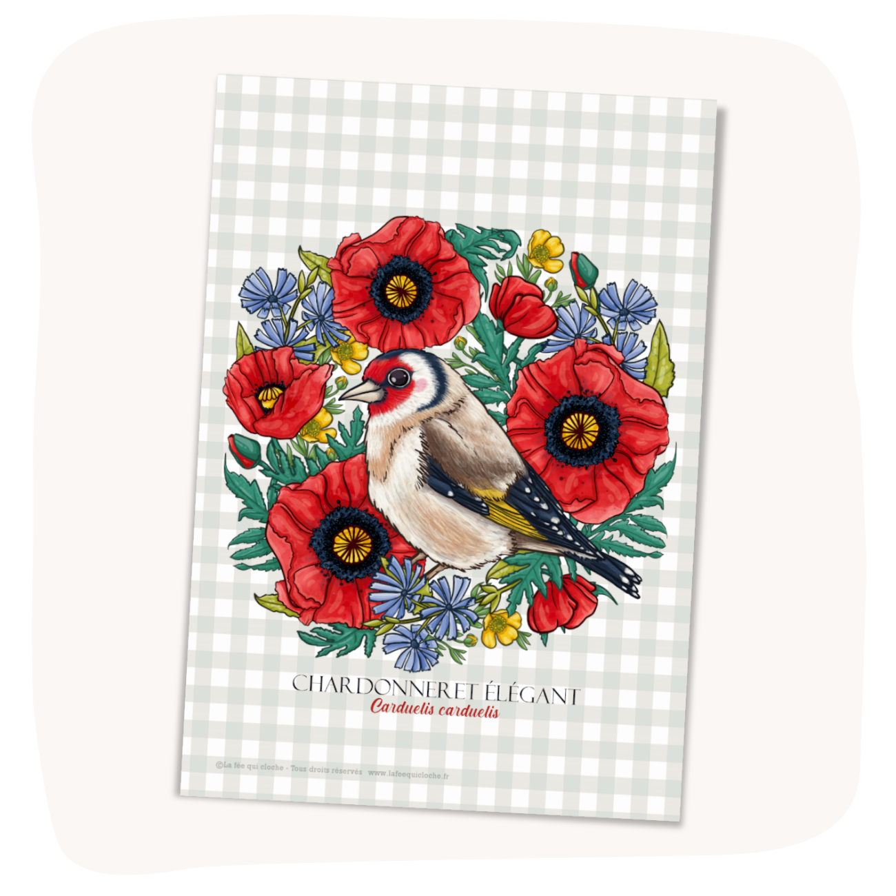 Carte postale A6 "Chardonneret élégant"