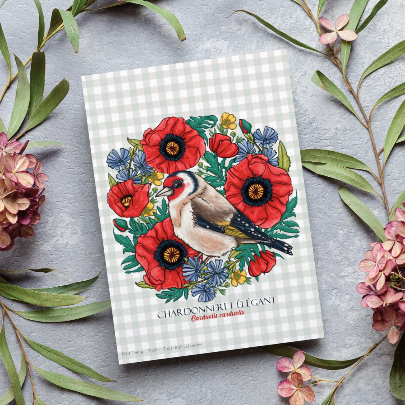 Carte postale A6 "Chardonneret élégant"