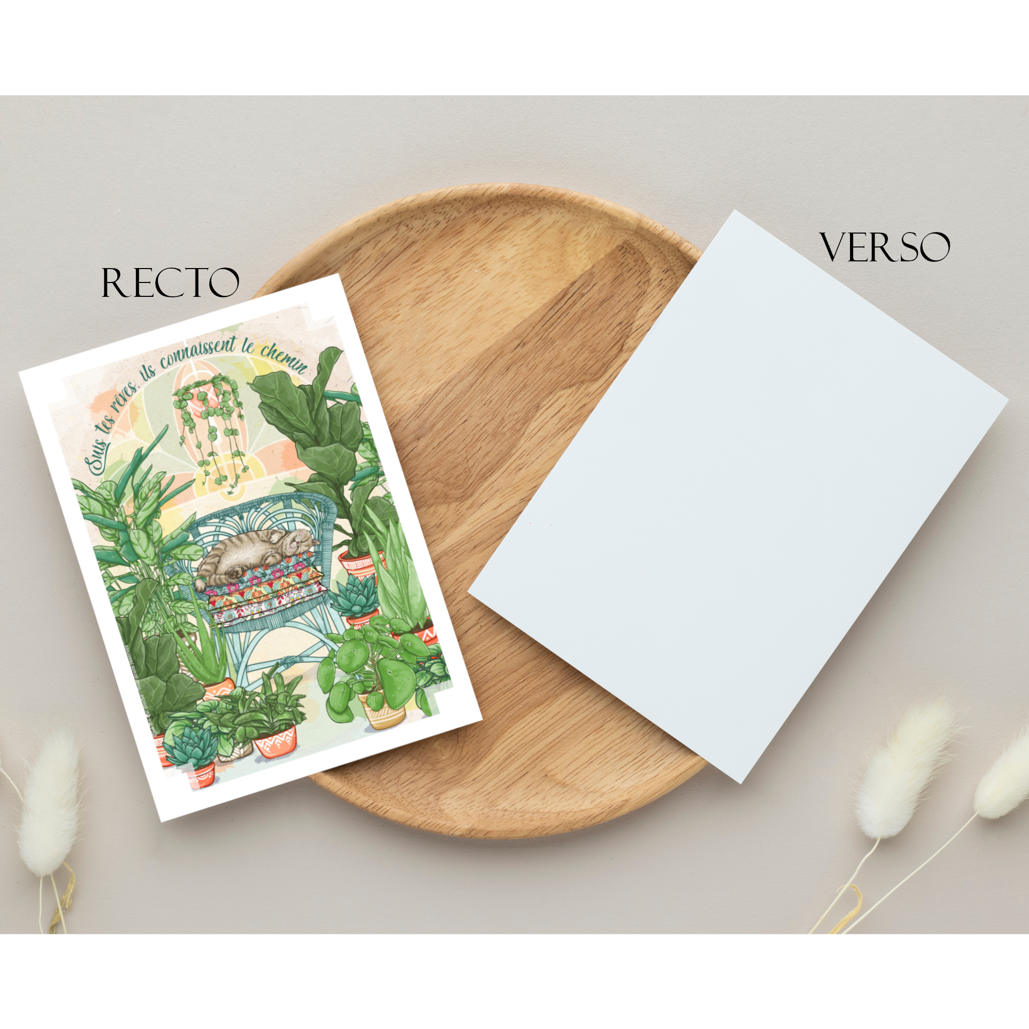 Carte postale A6 "Suis tes rêves ..."