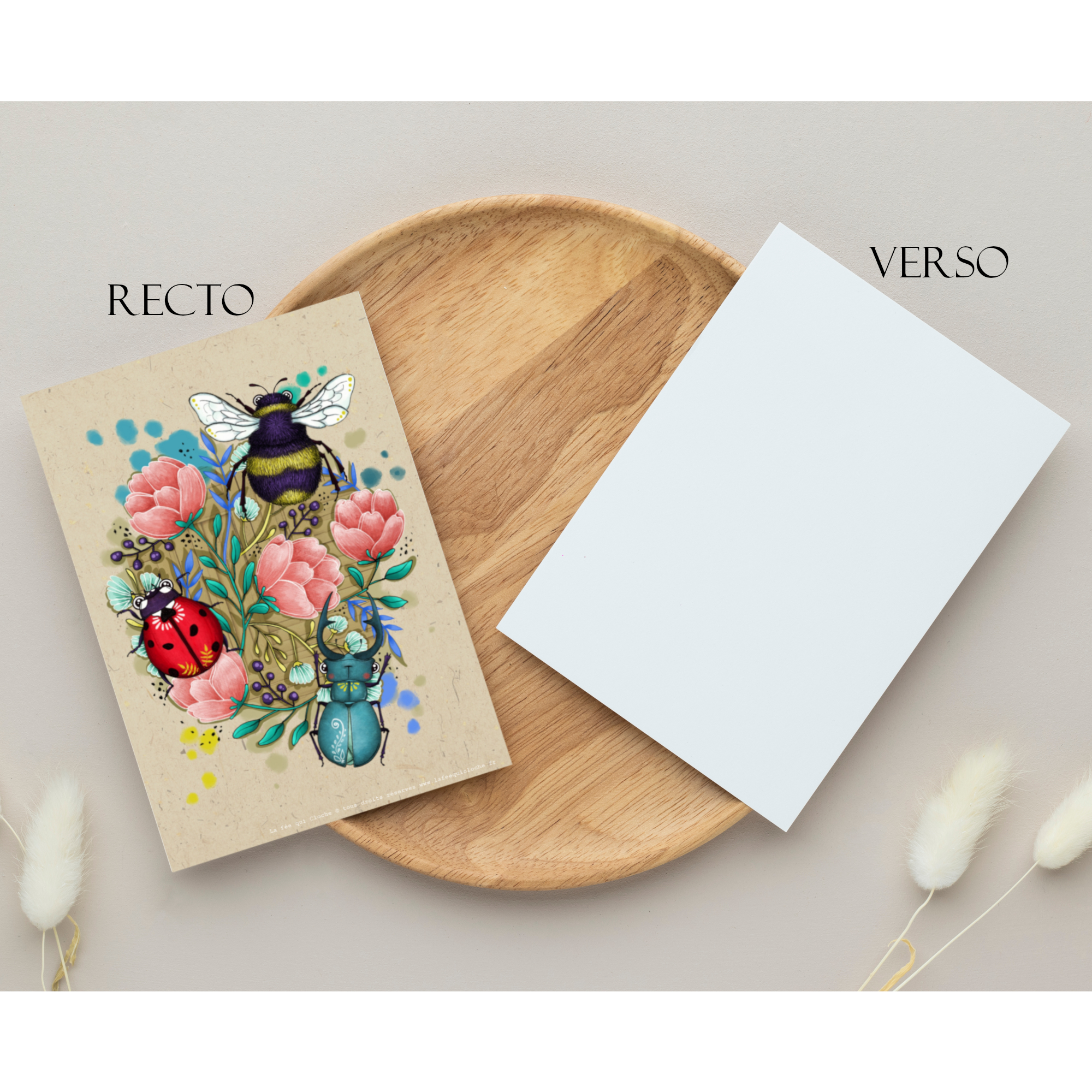 Carte postale A6 "Mes petits insectes"