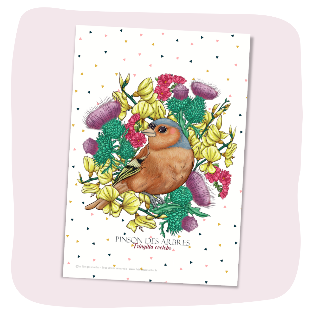 Carte postale A6 "Pinson des arbres"