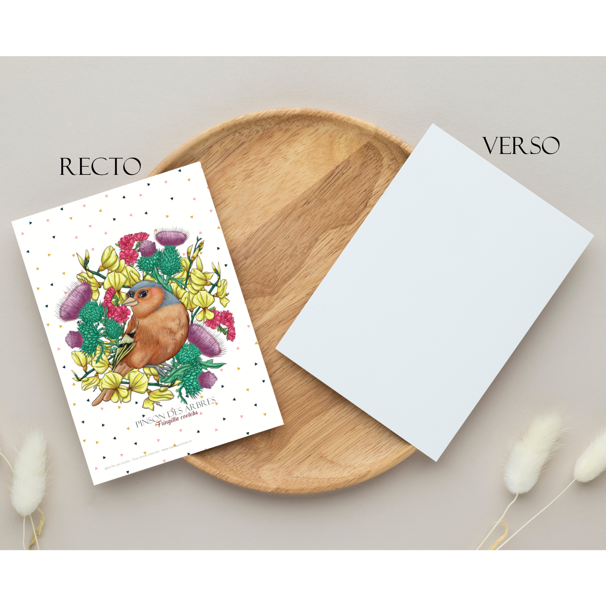 Carte postale A6 "Pinson des arbres"