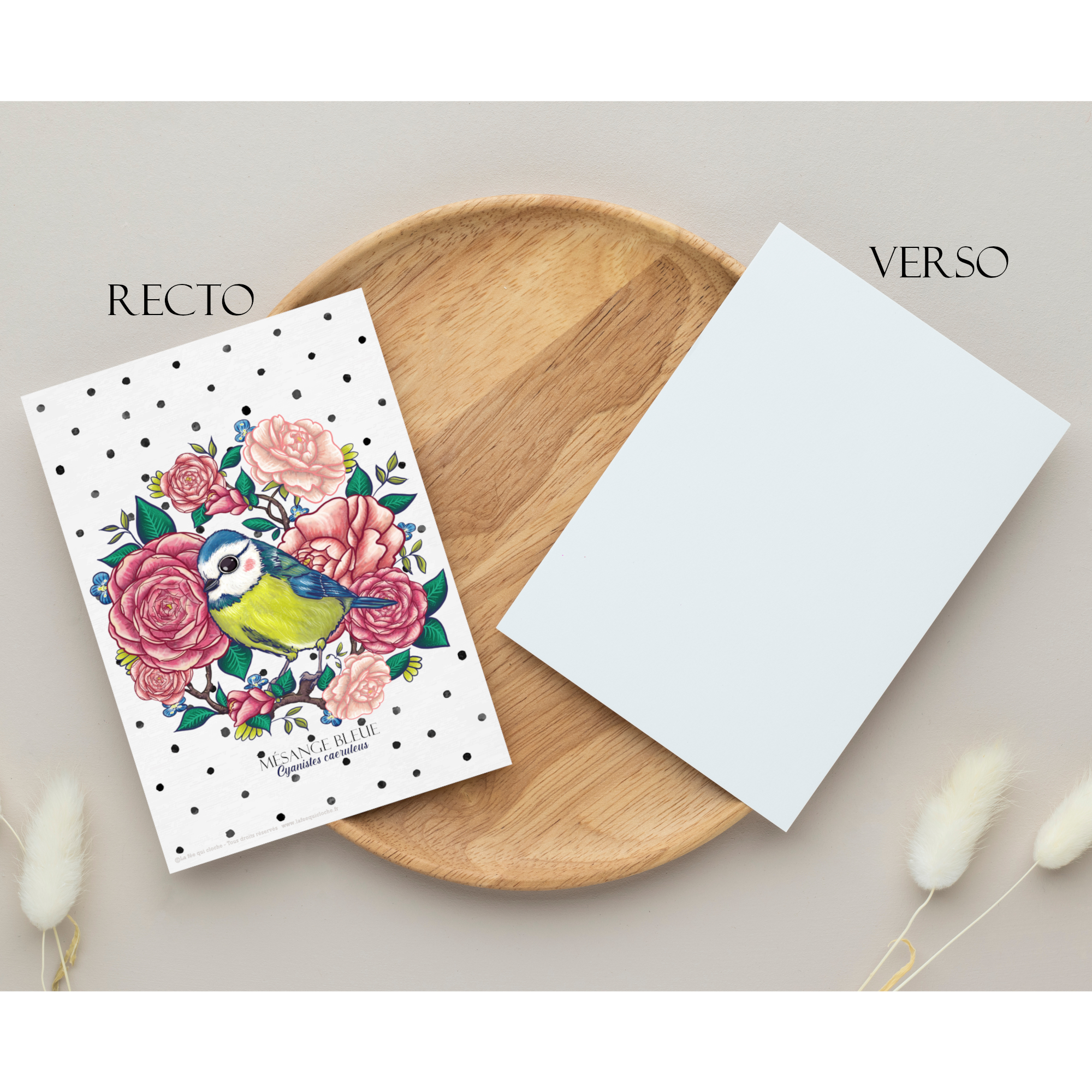 Carte postale A6 "Mésange bleue"