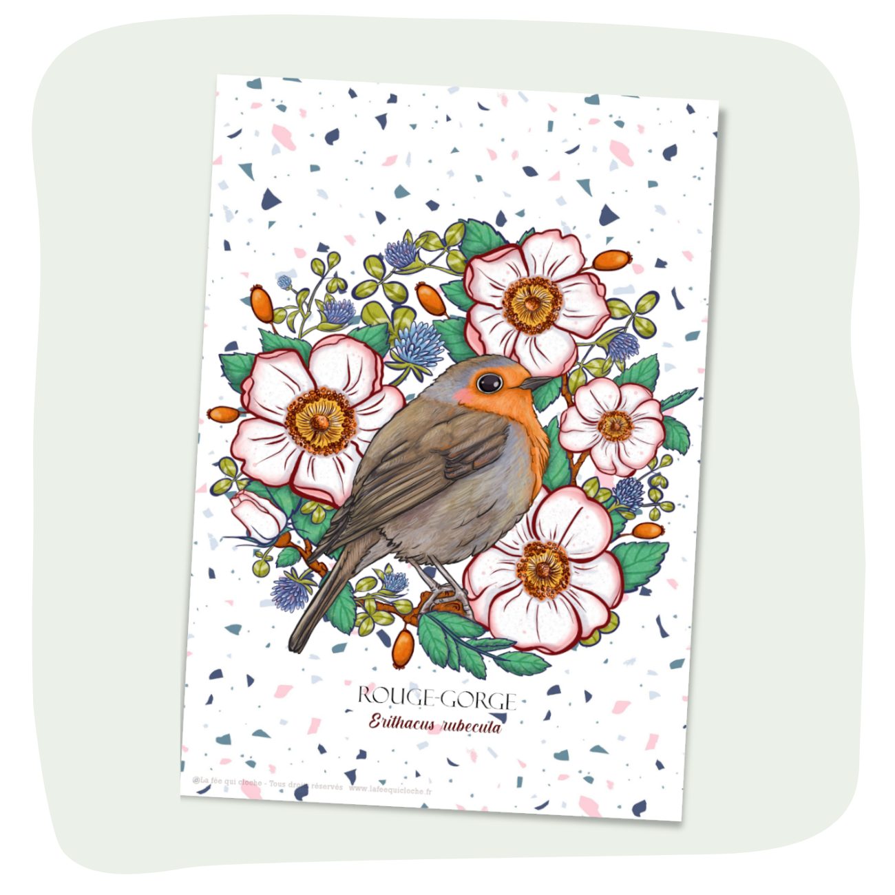 Carte postale A6 "Rouge-gorge"