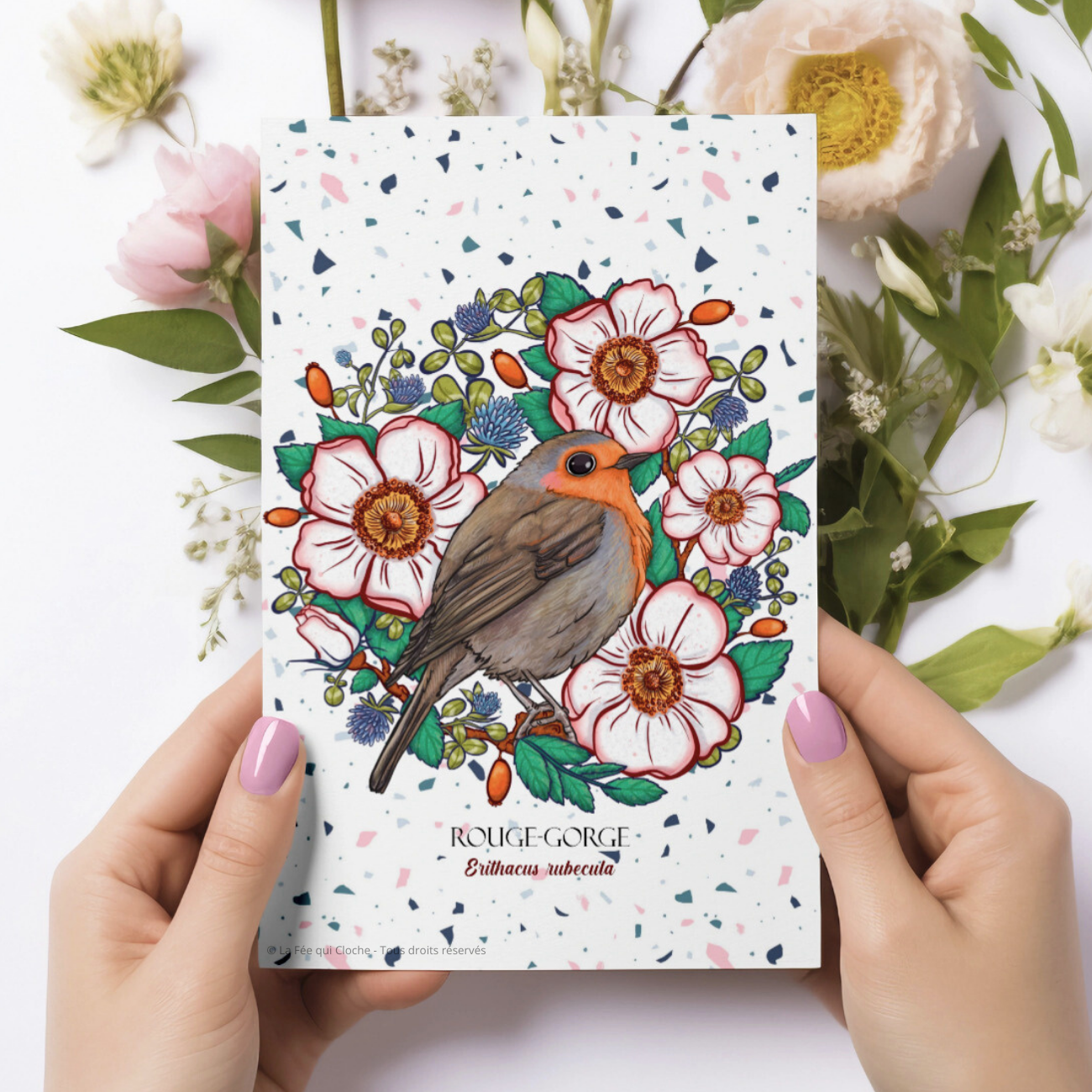 Carte postale A6 "Rouge-gorge"