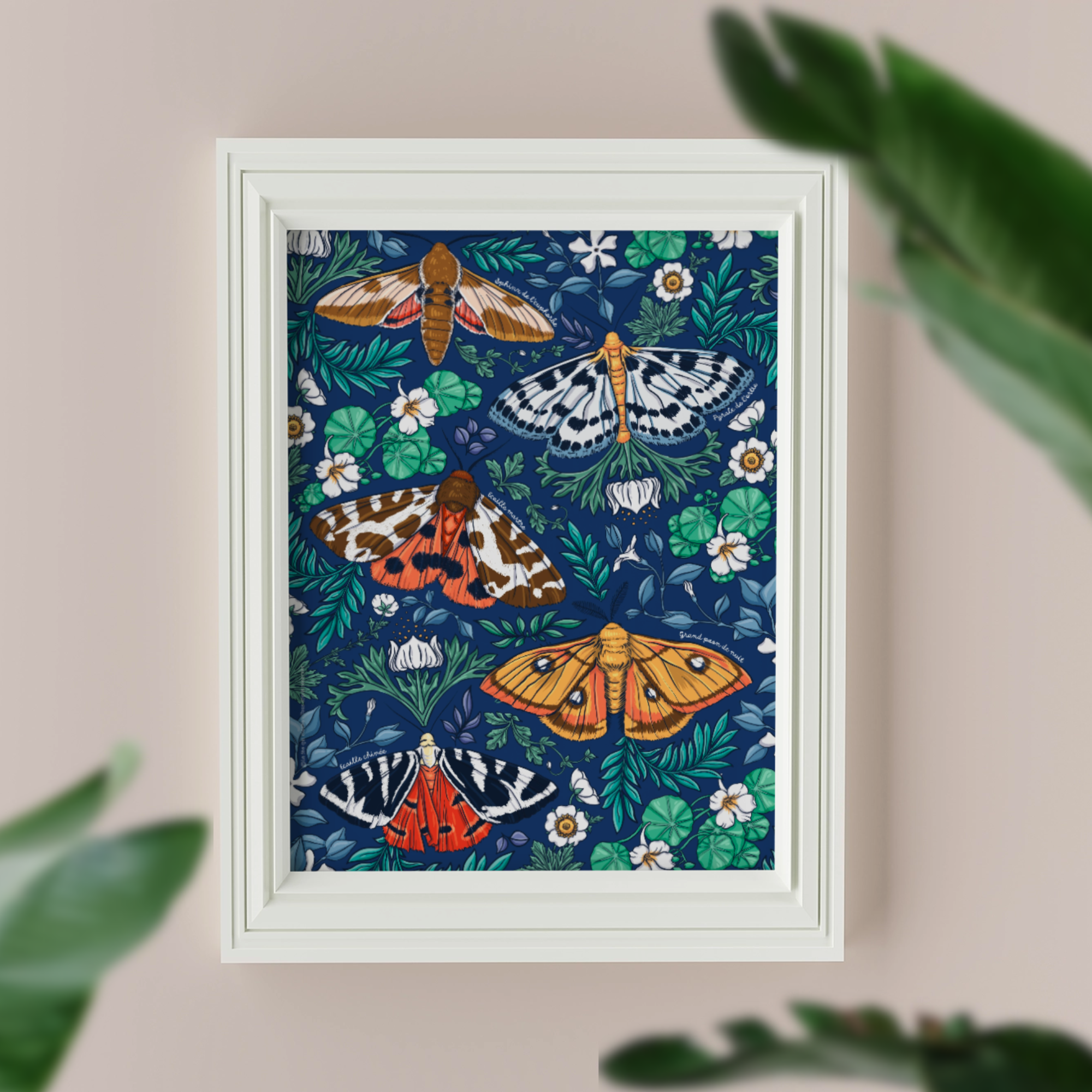 Affiche A4 "Les papillons du jardin"