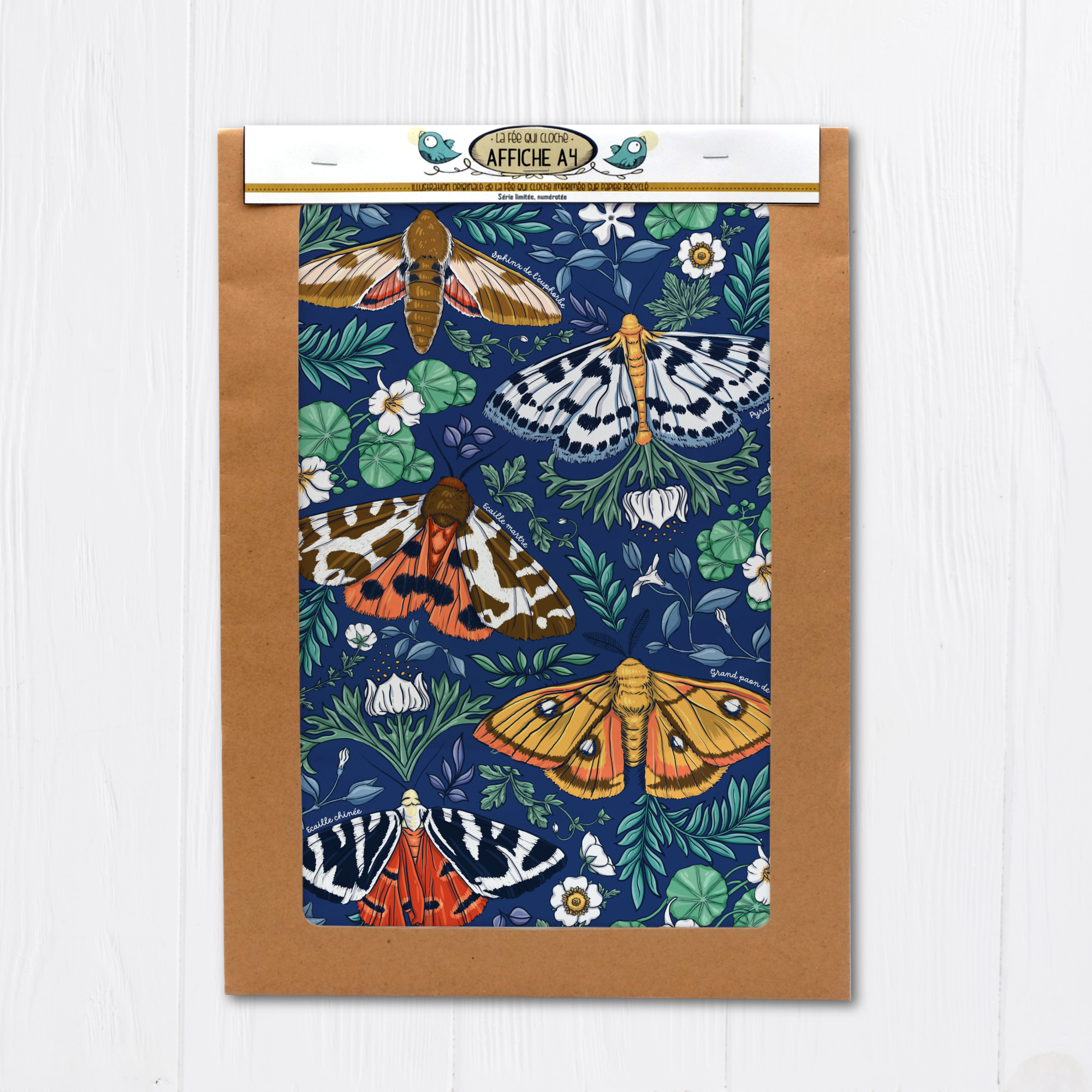 Affiche A4 "Les papillons du jardin"