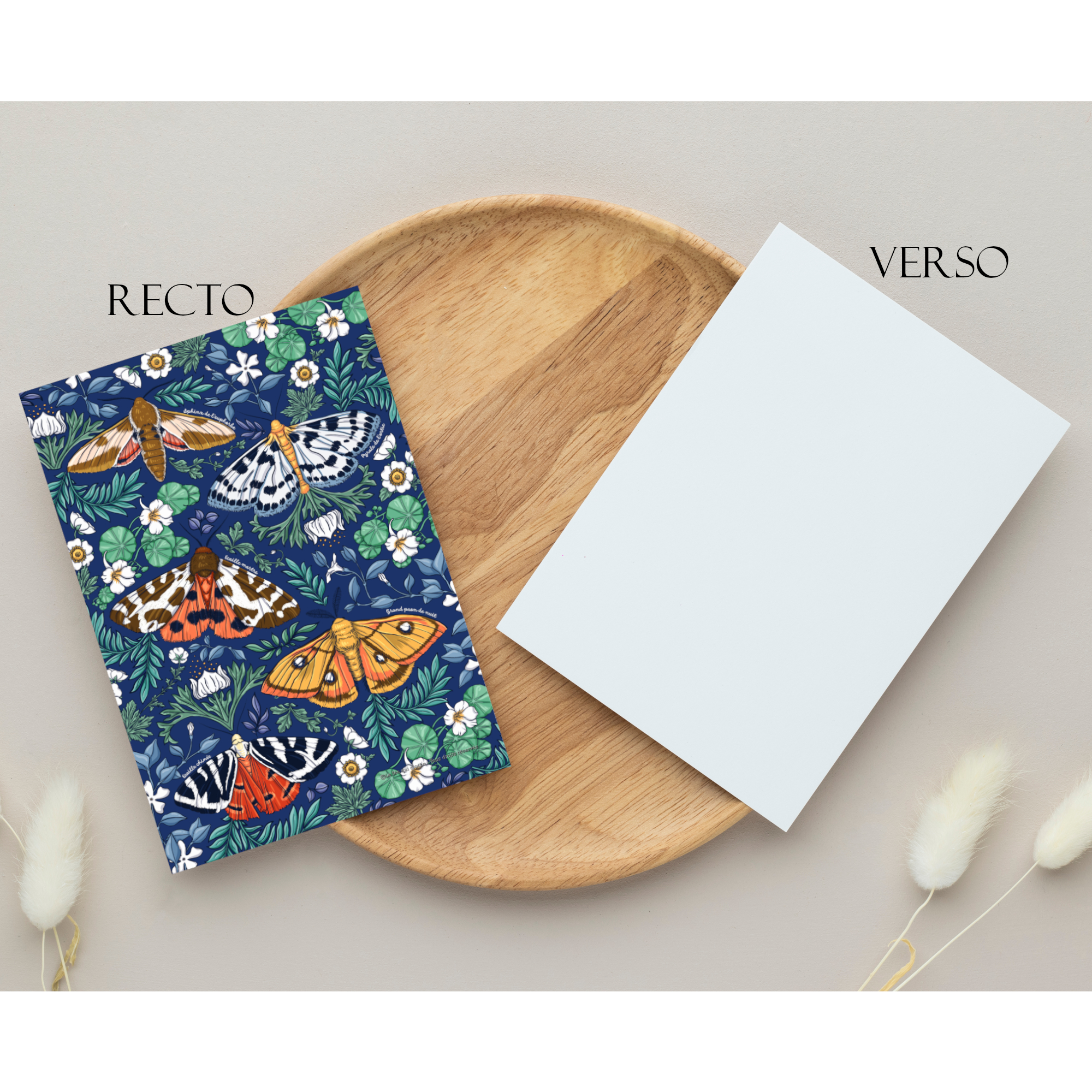 Carte postale A6 "Les papillons du jardin"
