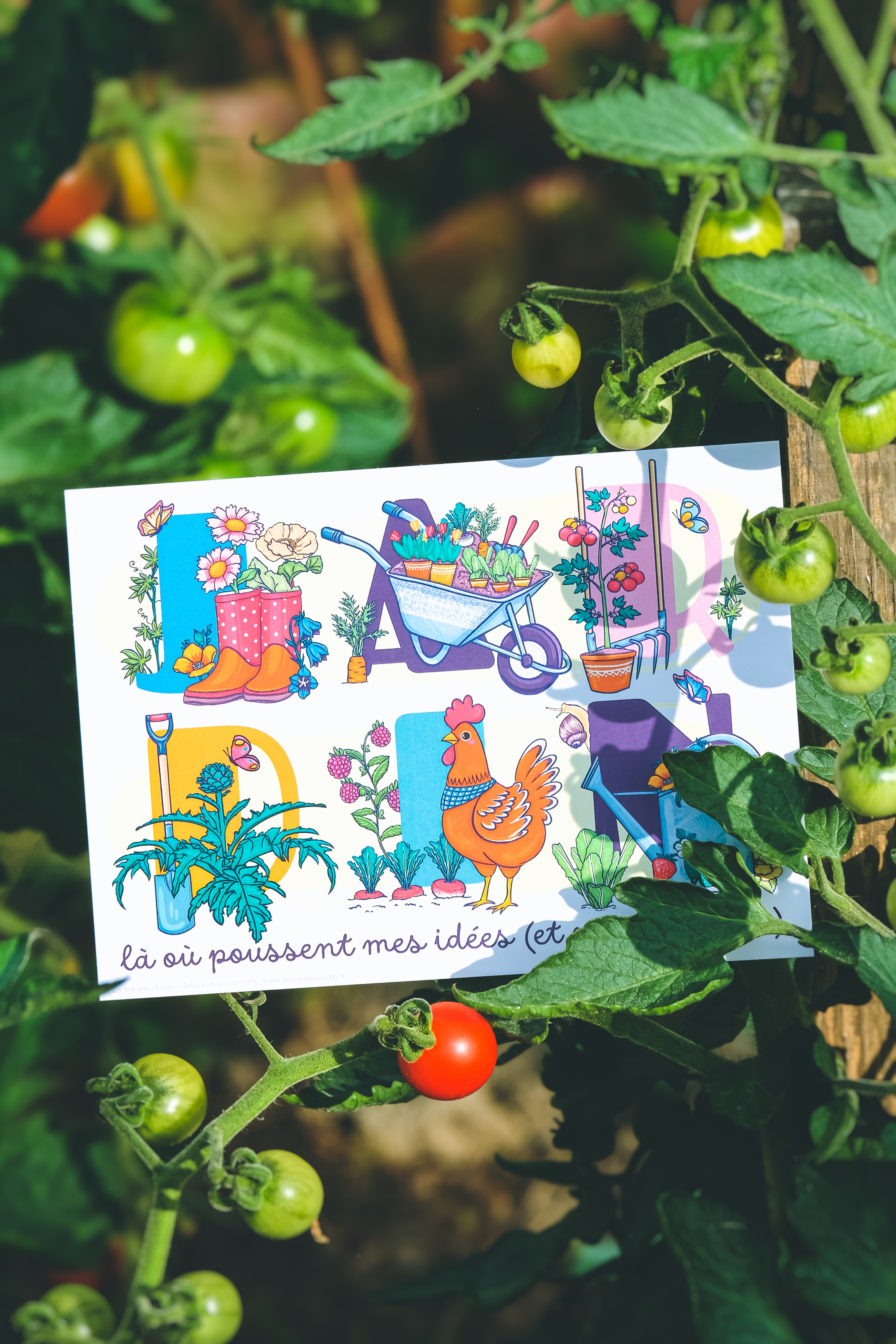 Carte postale A6 "JARDIN"