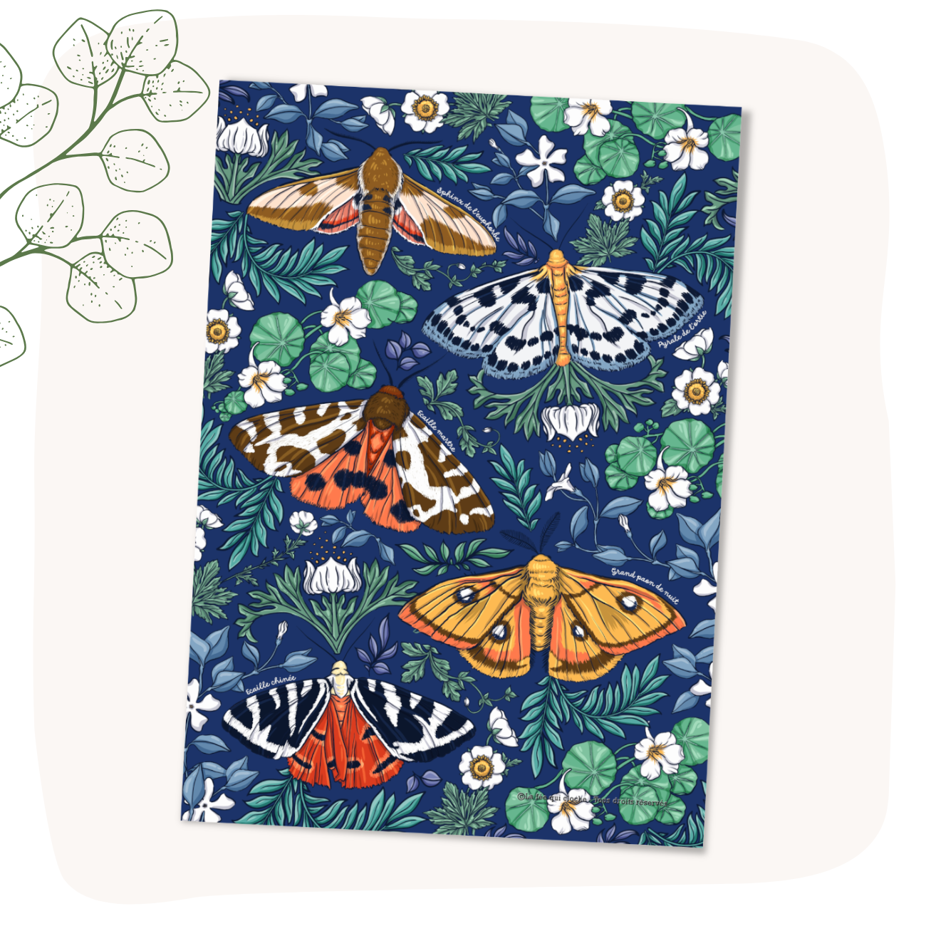 Carte postale A6 "Les papillons du jardin"