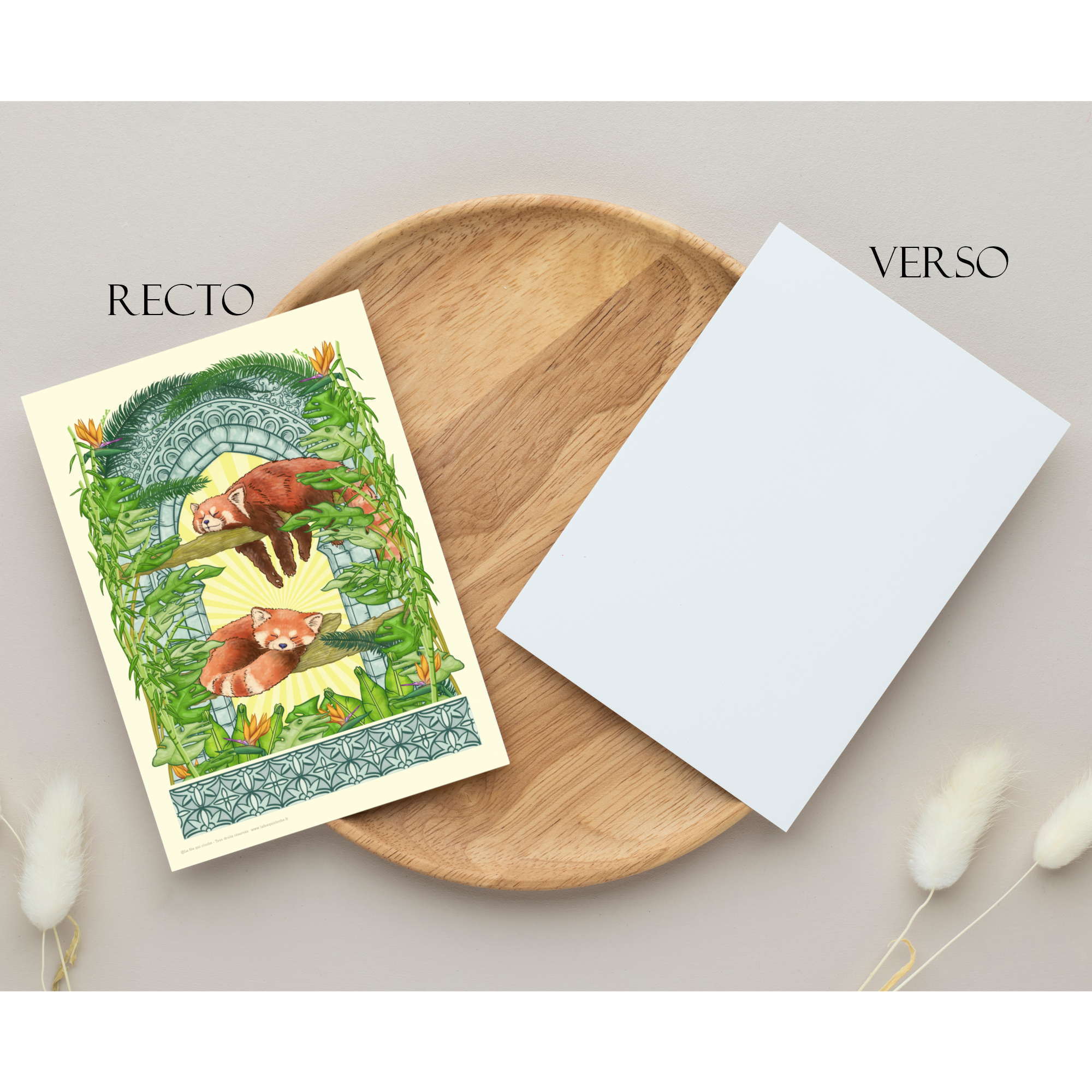 Carte postale A6 "Panda roux"