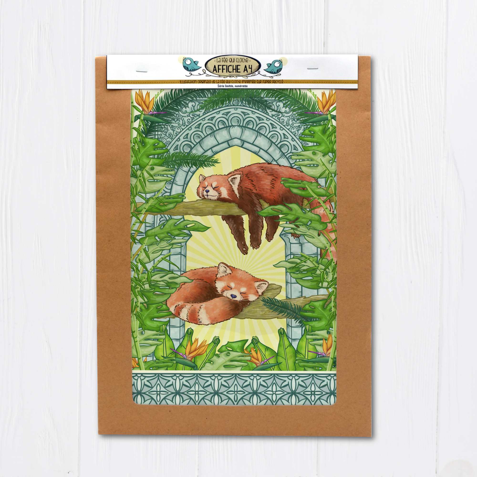 Affiche A4 "Panda roux"