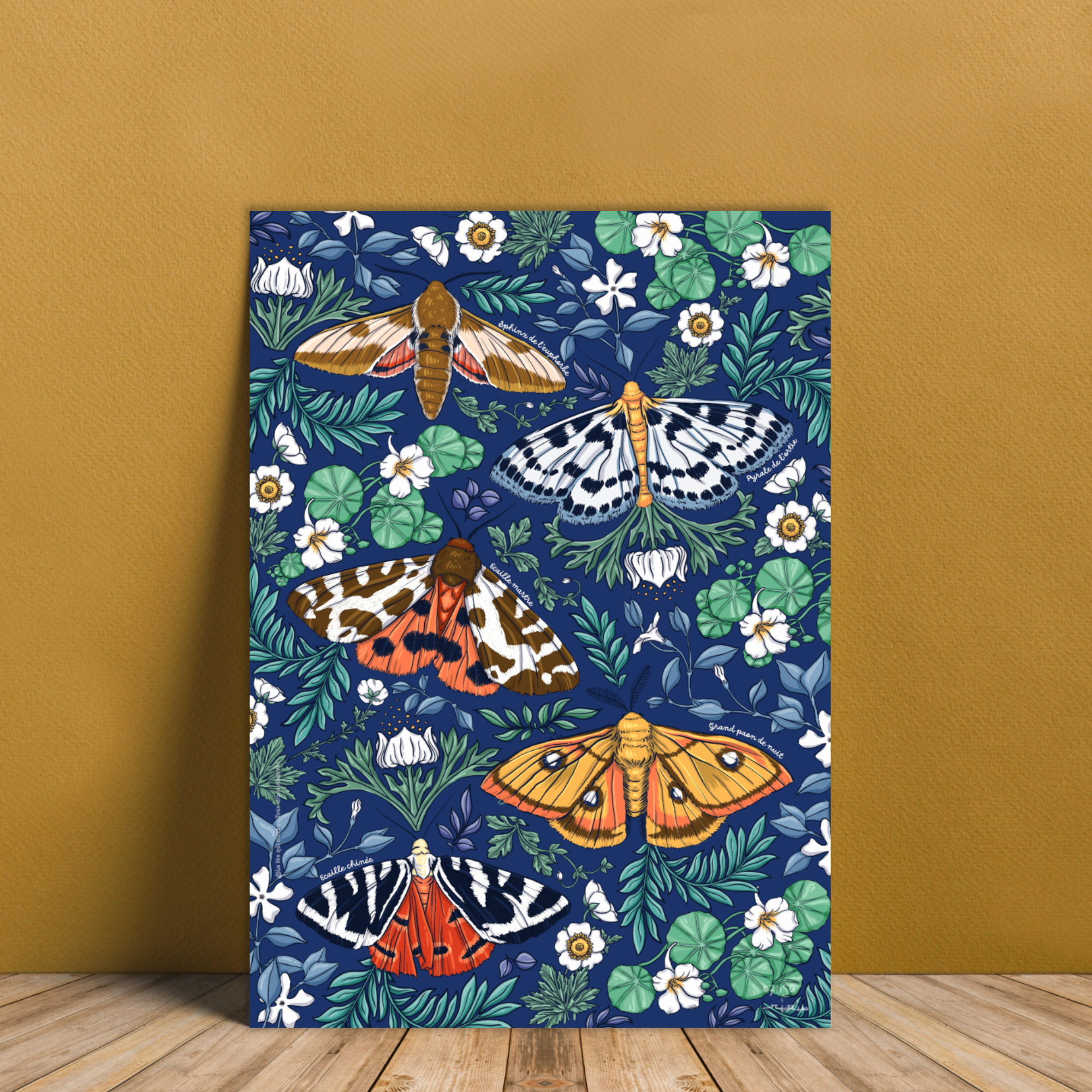 Affiche A4 "Les papillons du jardin"