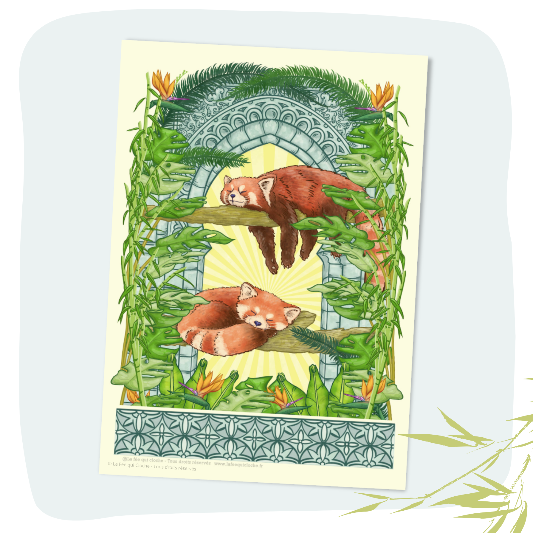 Carte postale A6 "Panda roux"