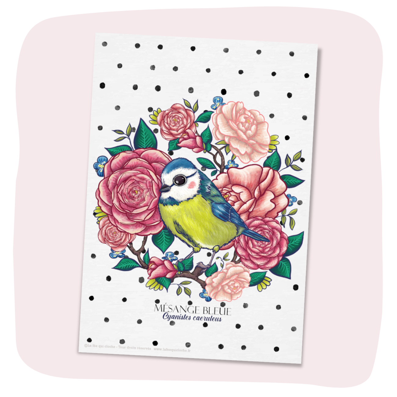Pack de 4 Cartes postales A6 "Les oiseaux du jardin"