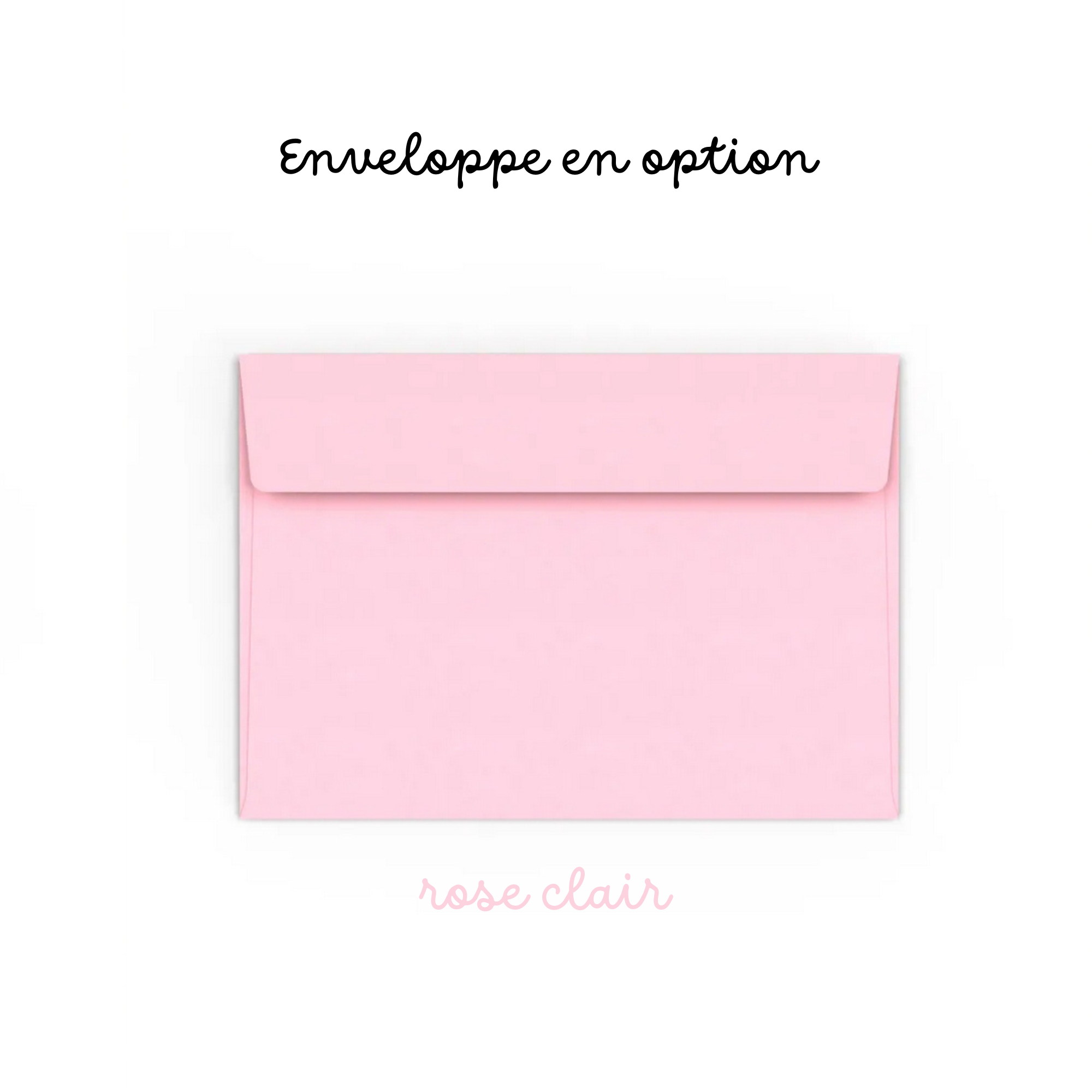 Carte postale A6 "Pinson des arbres"