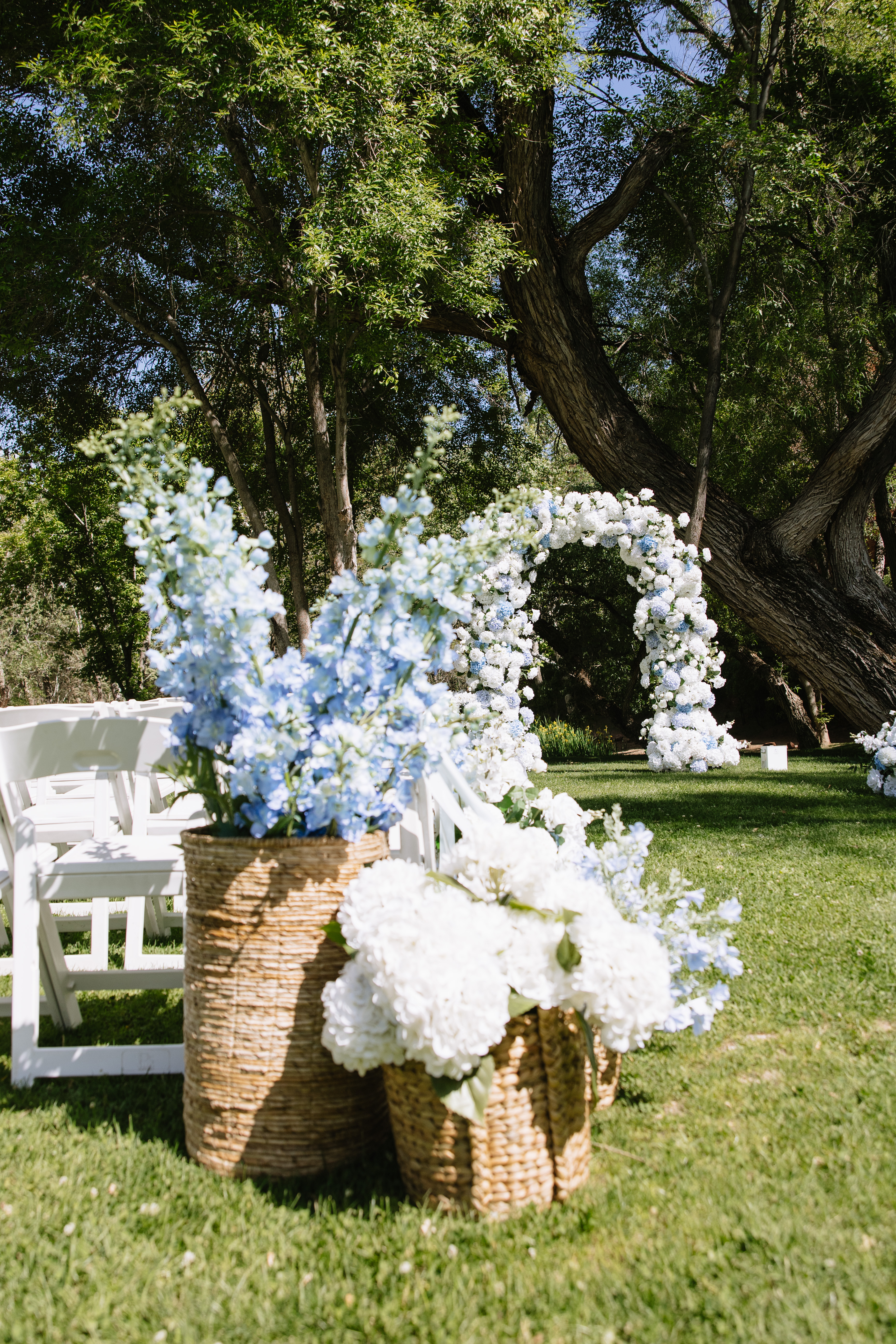 Large Basket Flowers Delphinium