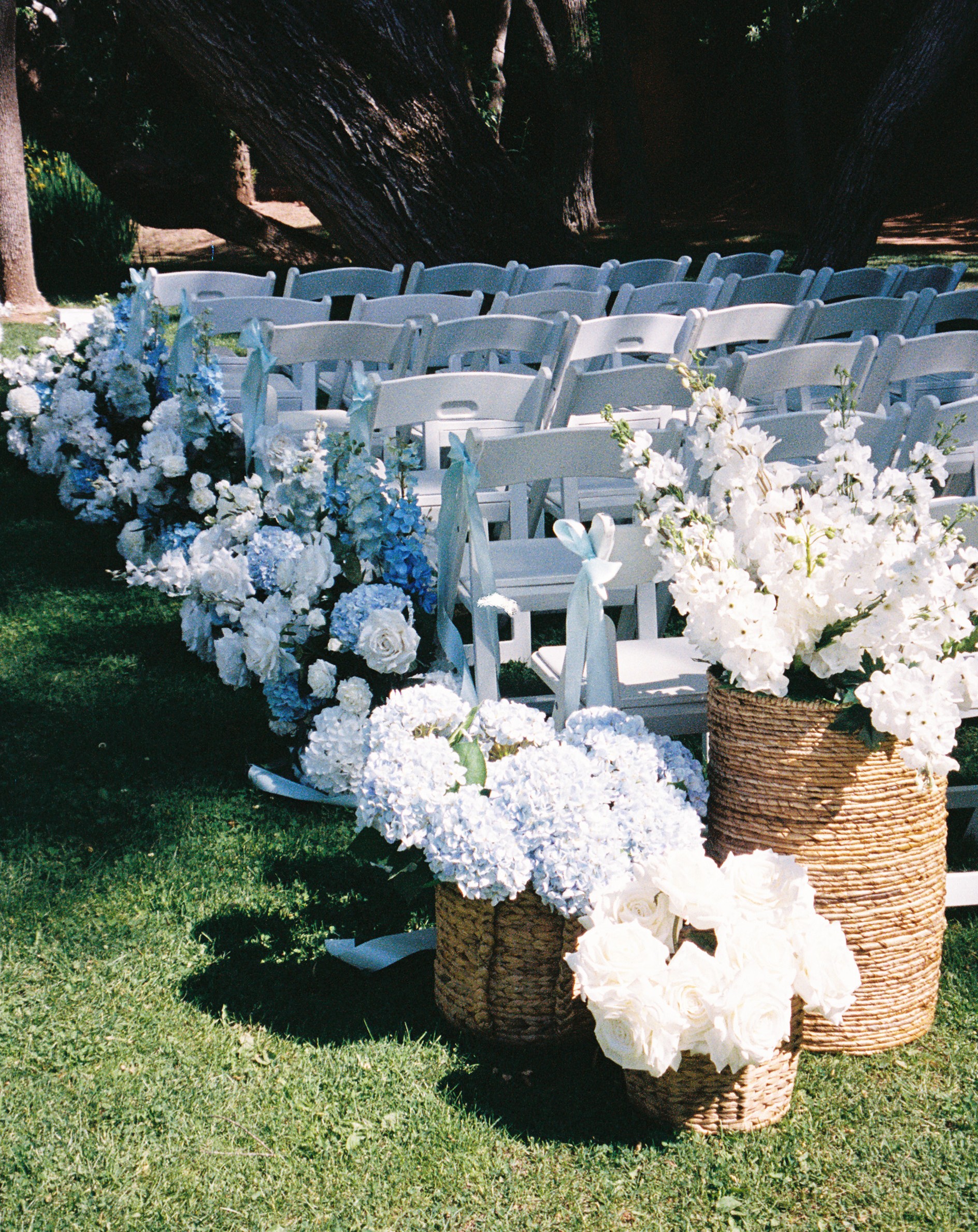 Large Basket Flowers Delphinium
