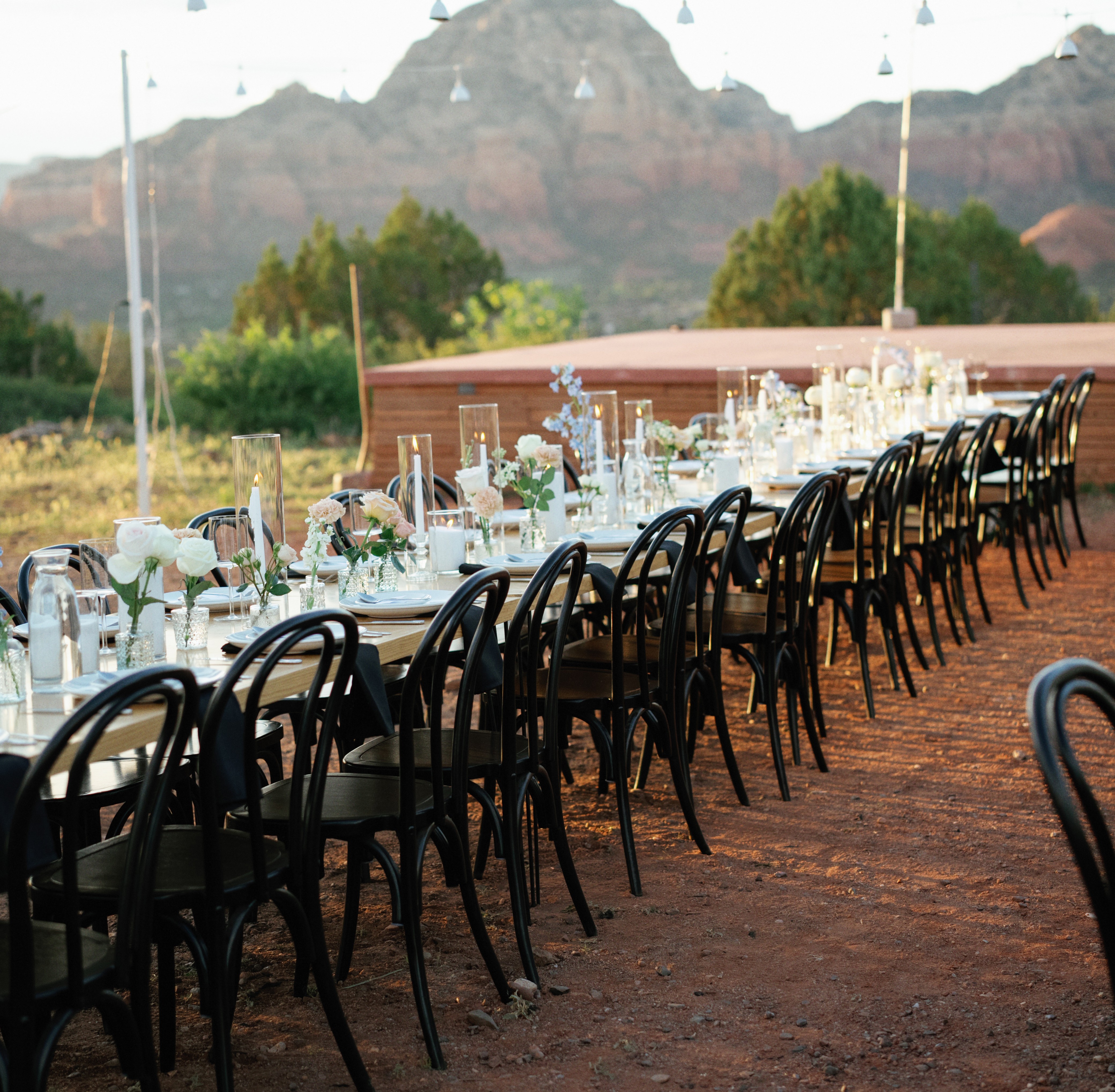 Budvase Centerpiece Package (10 Tables)