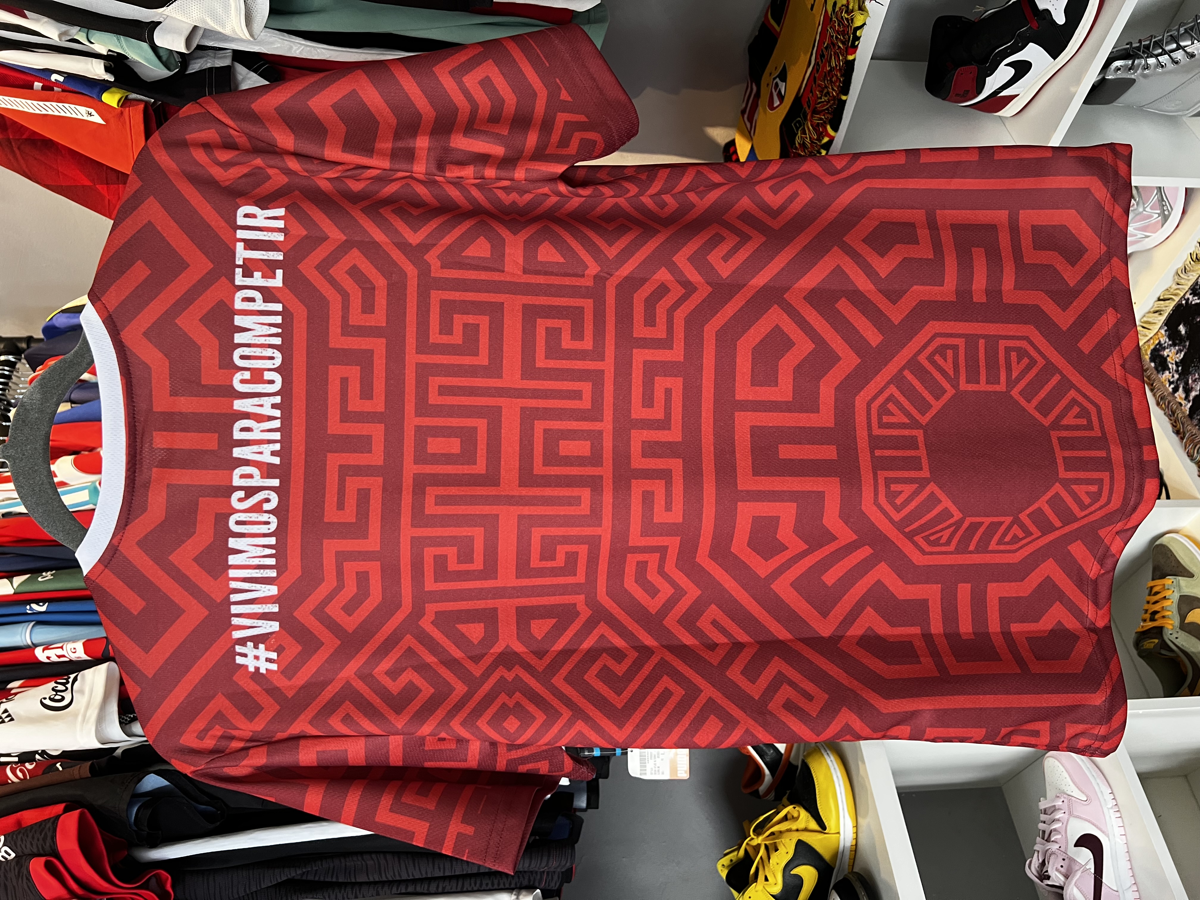 Jersey Chivas Entrenamiento (M)