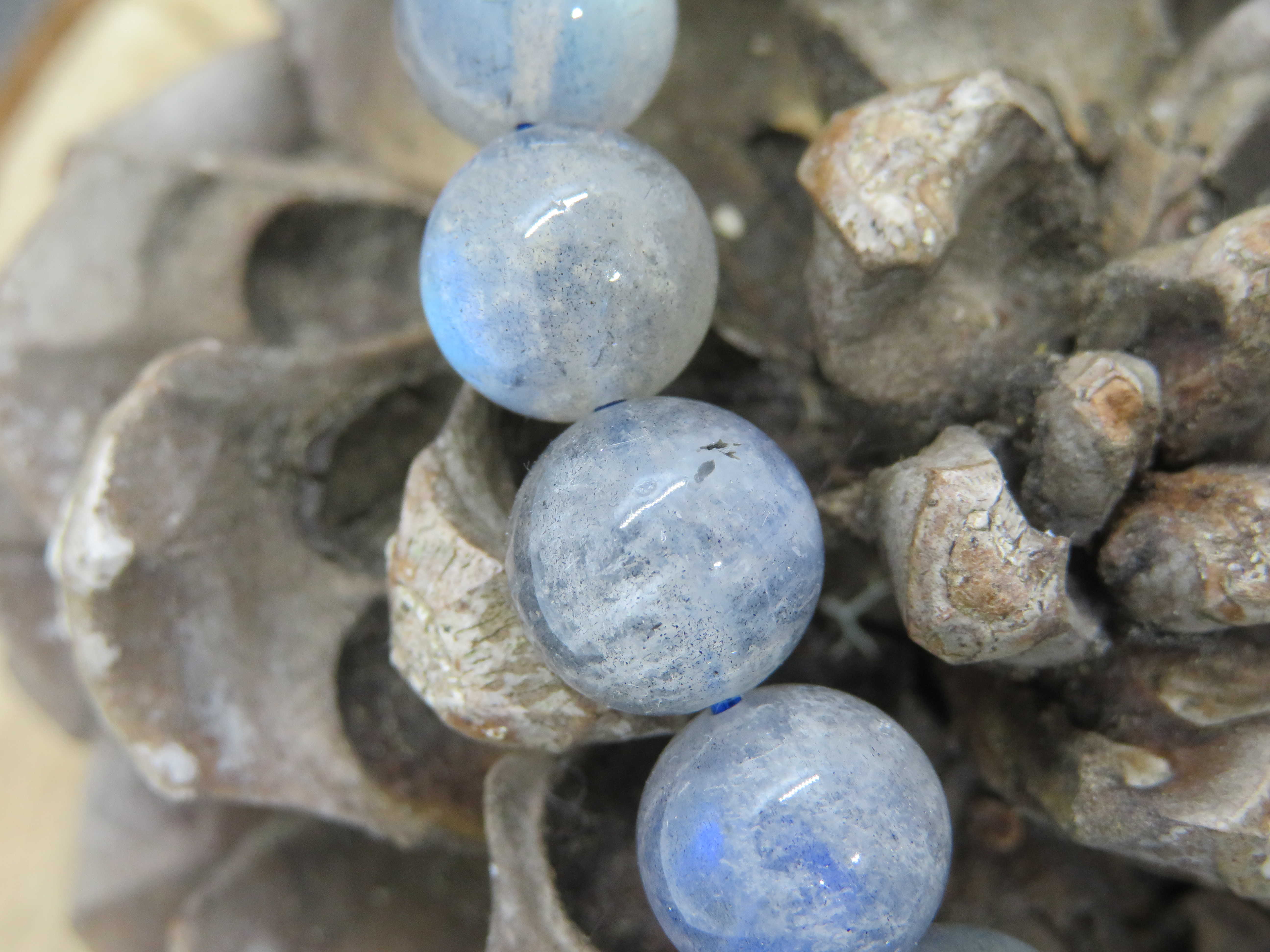 Bracelet  labradorite AA+ 12mm