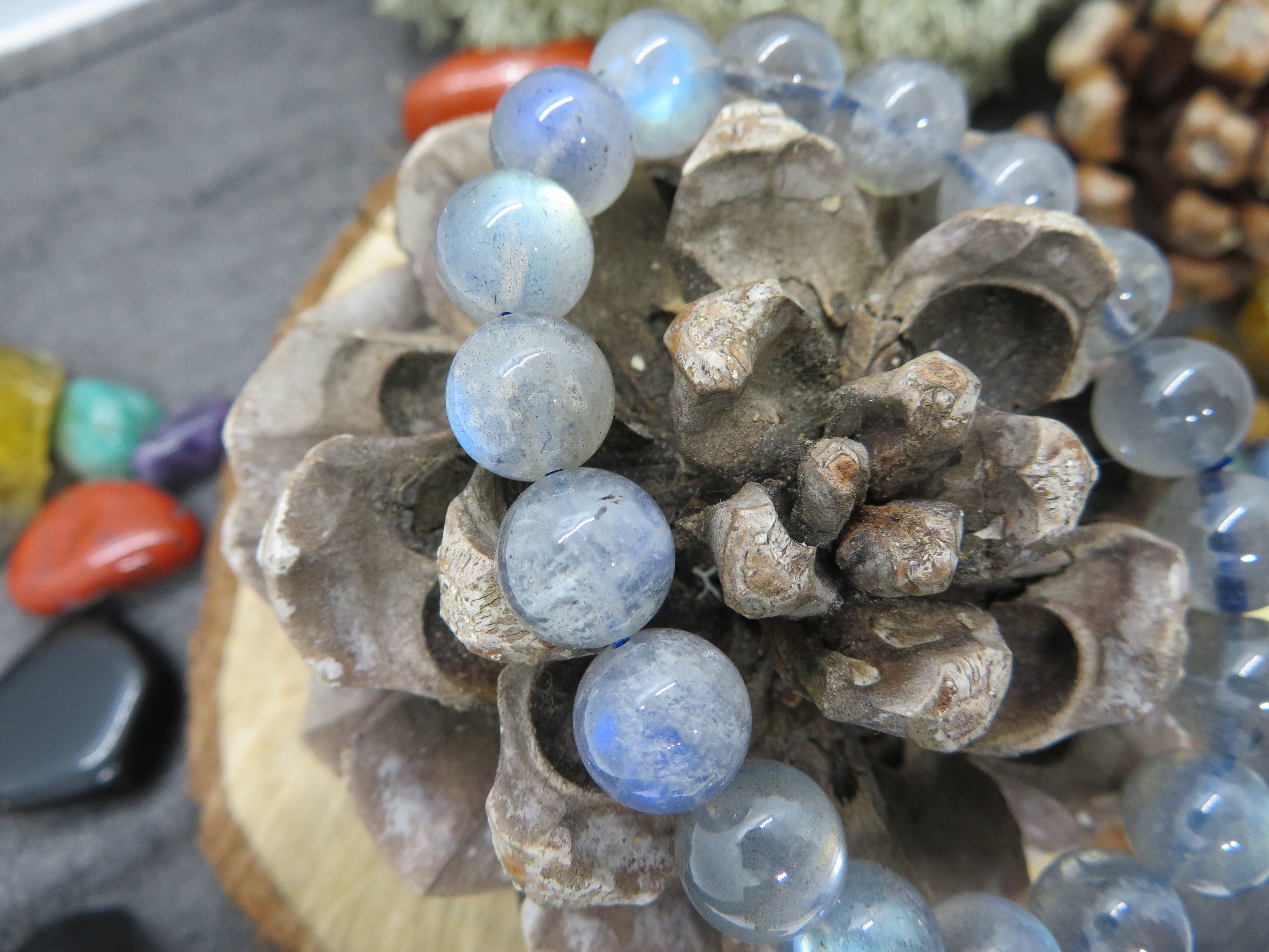 Bracelet  labradorite AA+ 12mm