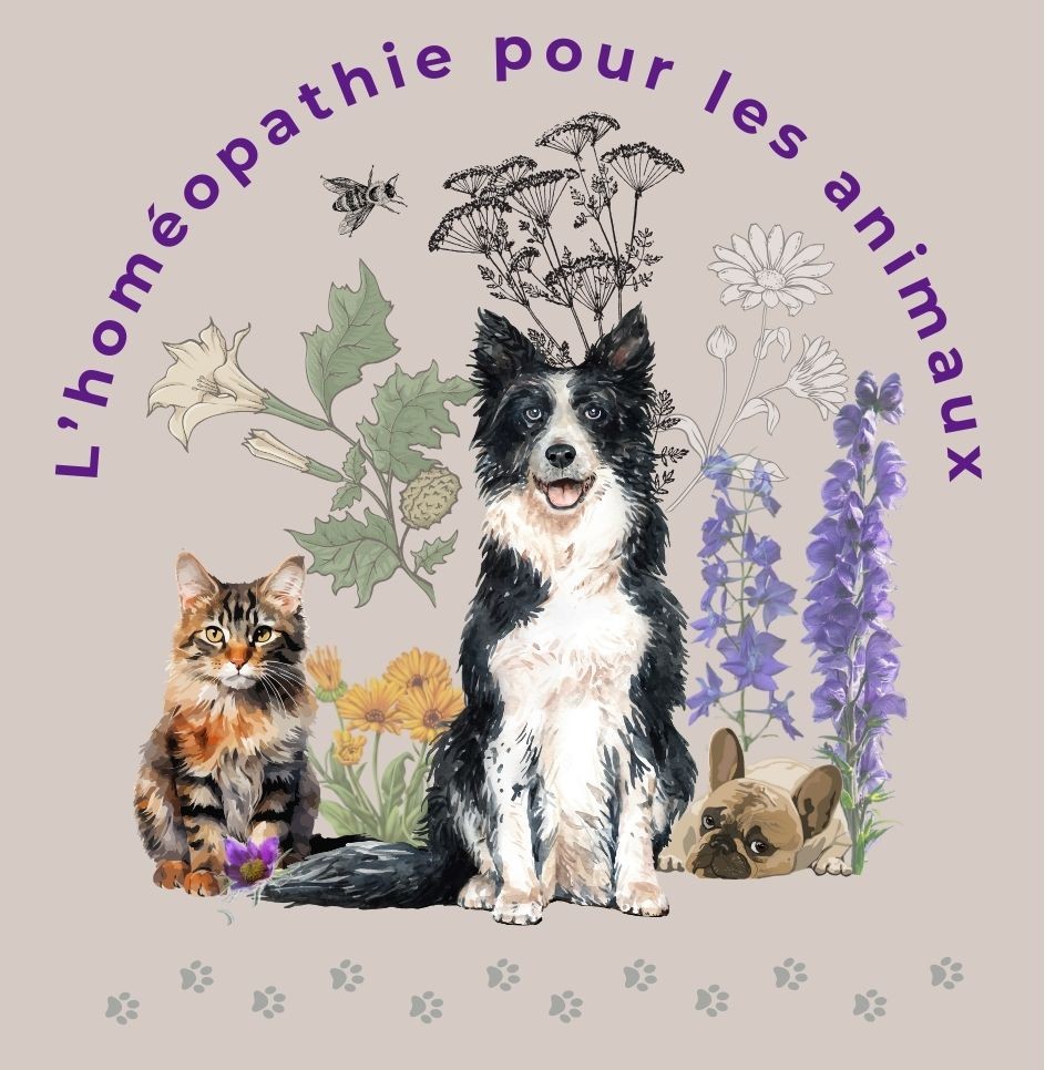 Suivi homéopathique de votre animal