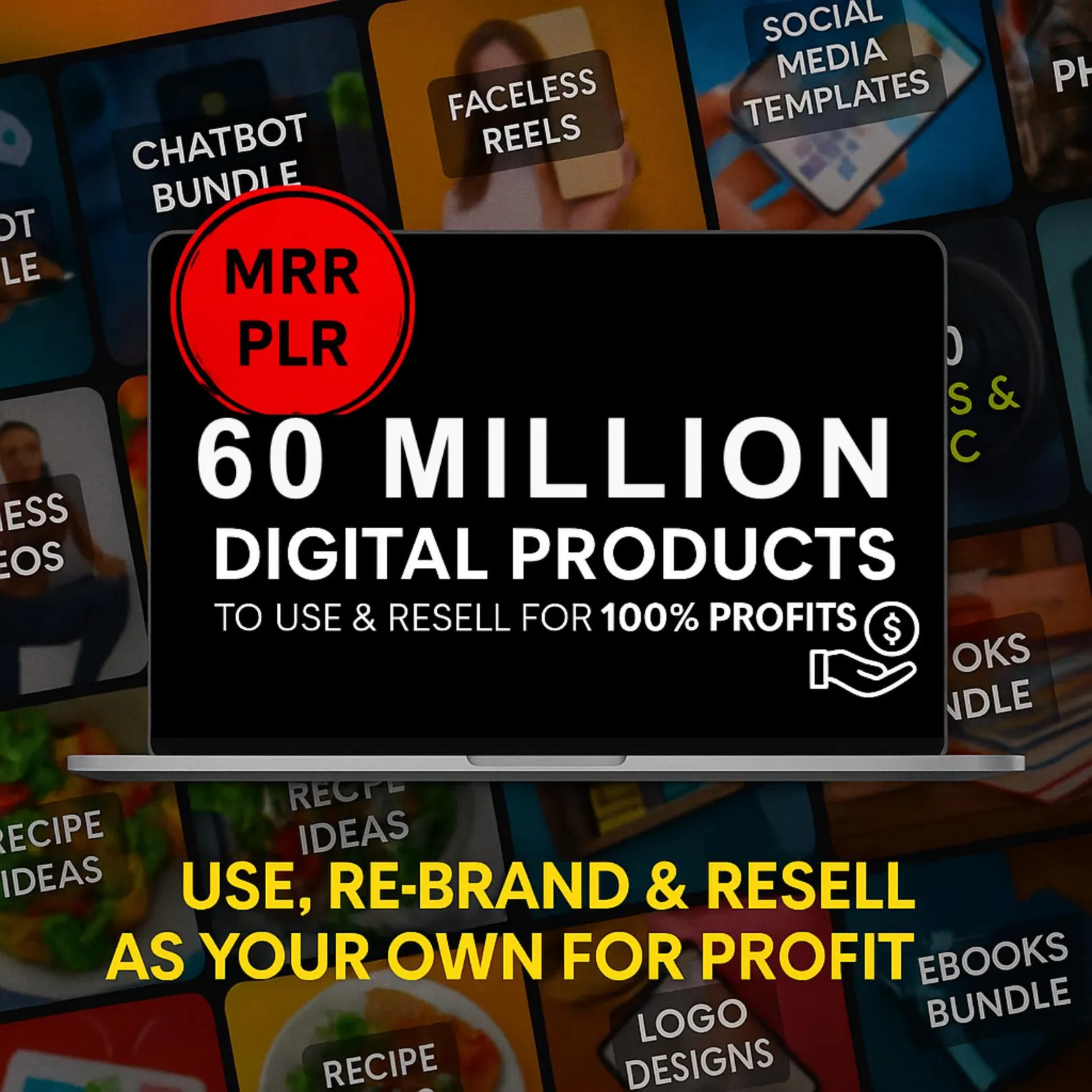  Digital Products Bundle for Passive Income, Private Label Rights & Master Resell Rights, Millions of DFY PLR MRR