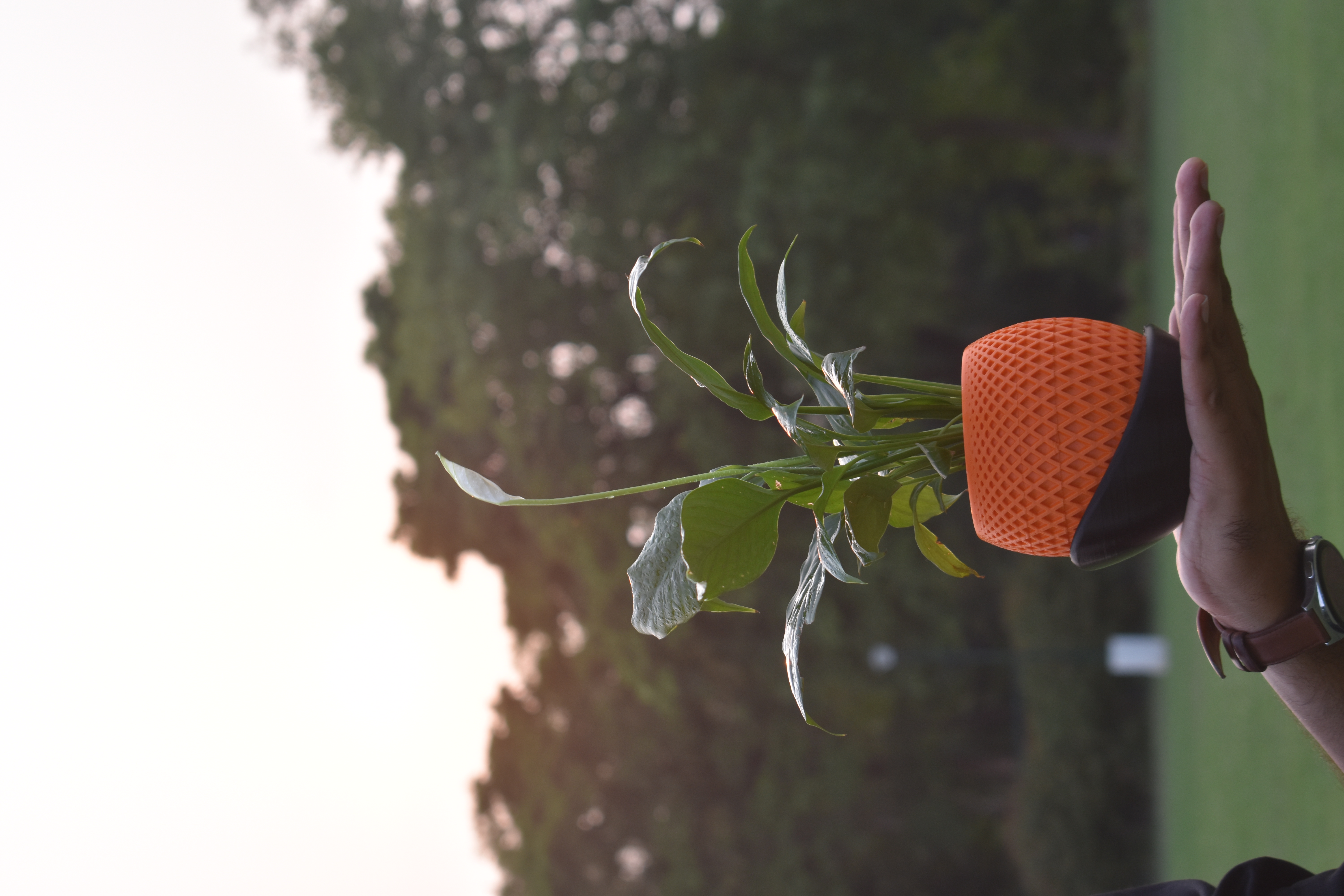 The Polygon Planter