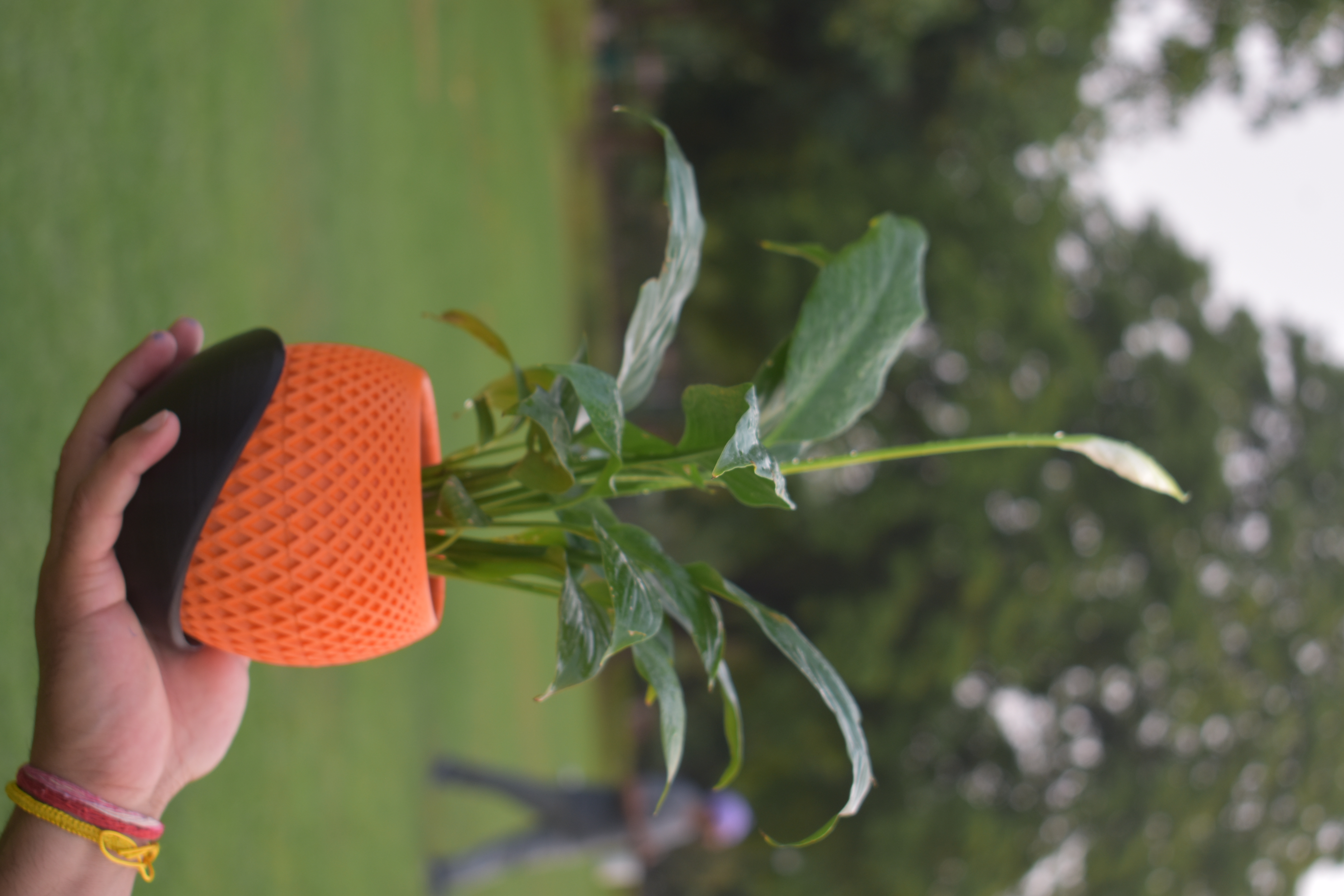 The Polygon Planter