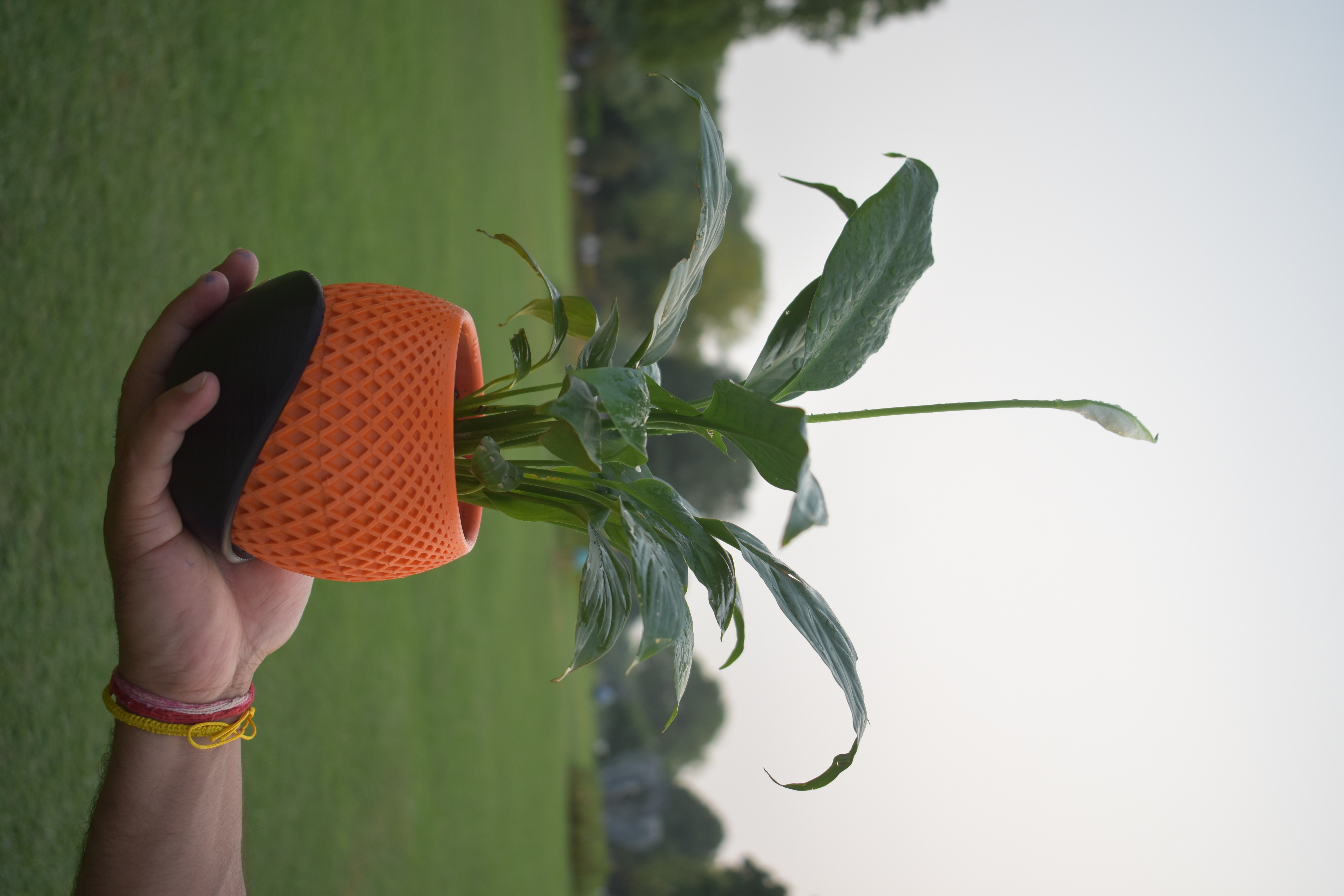 The Polygon Planter