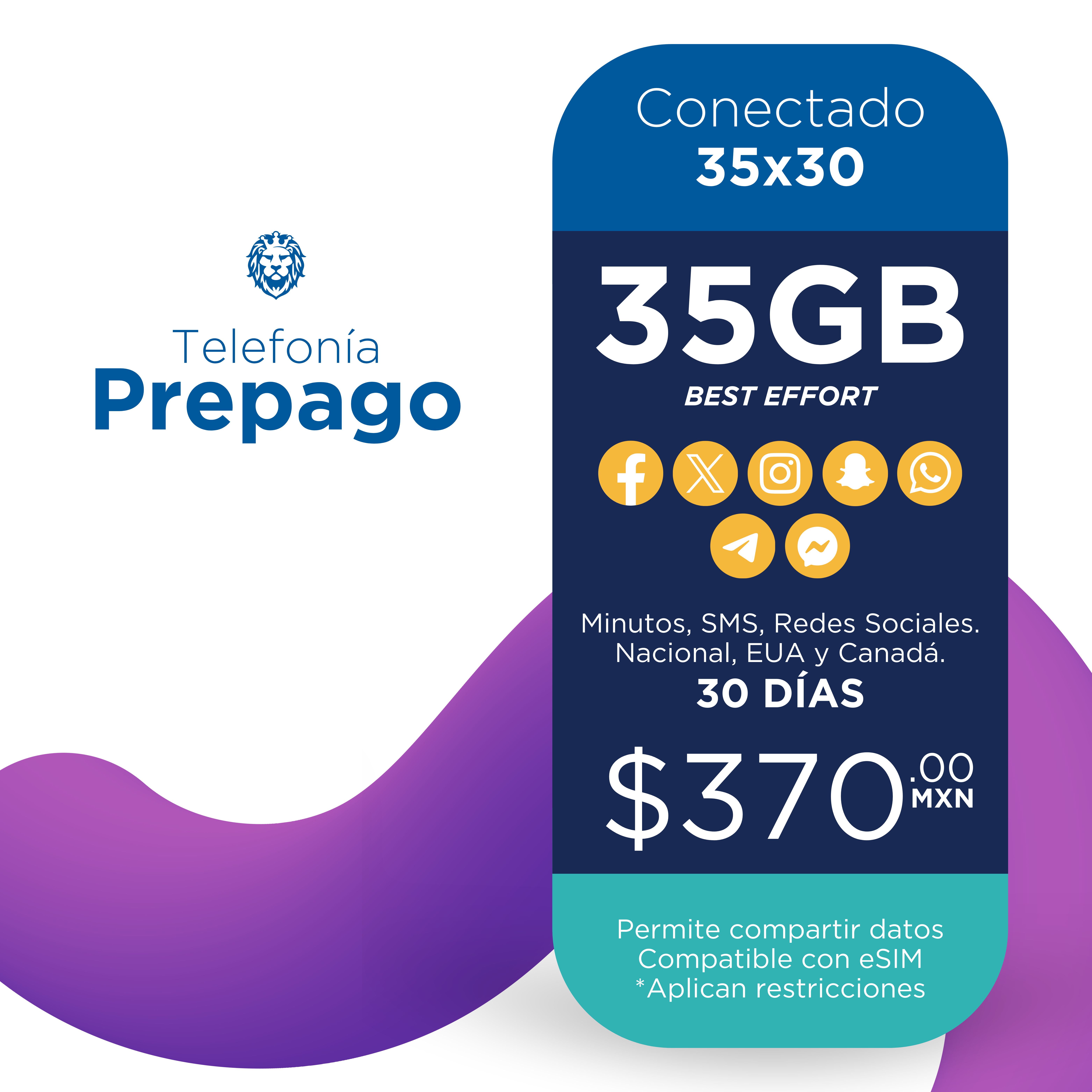 Conectado 35X30