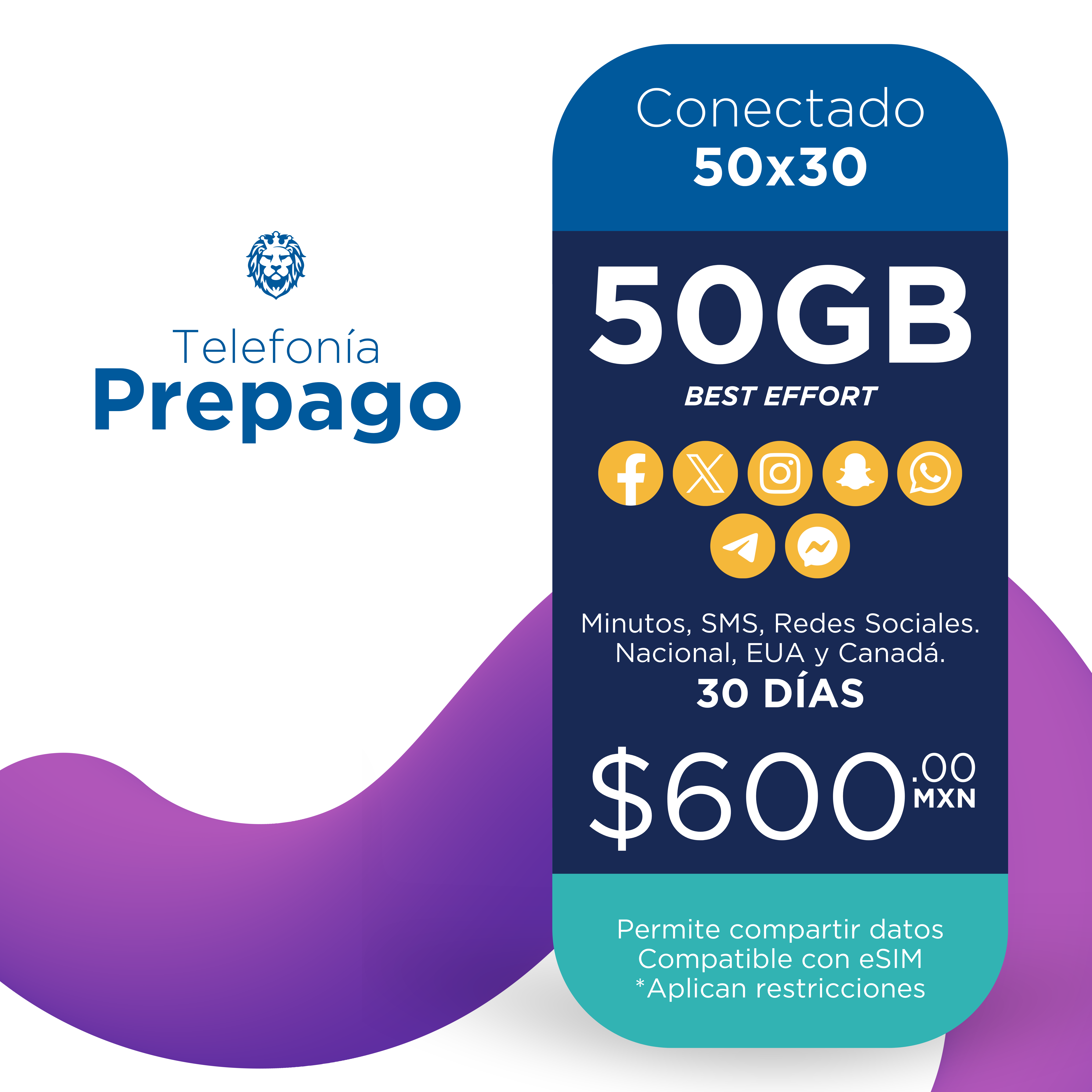 Conectado 50X30