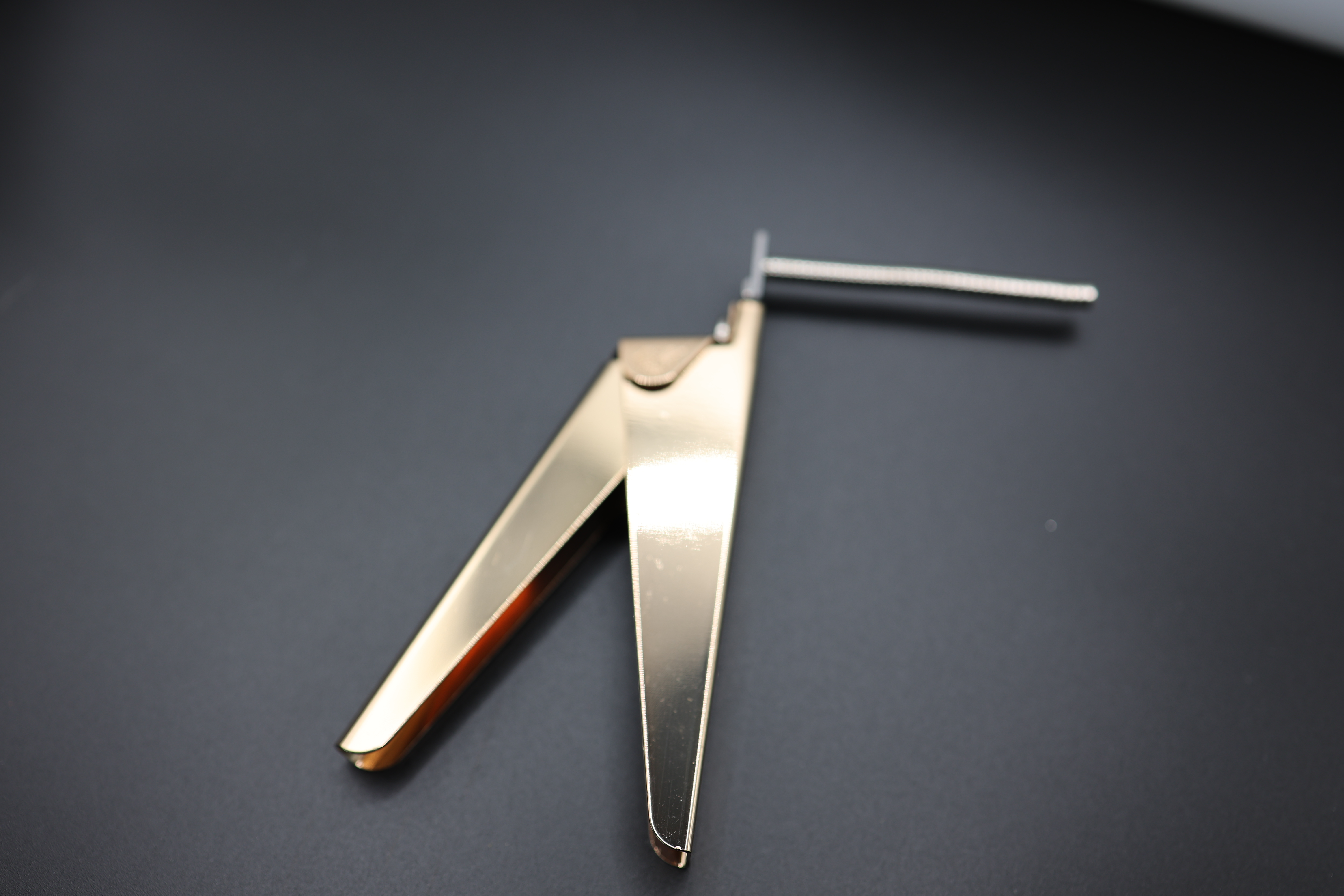 NAIL TIP CUTTER WITH MAGNET