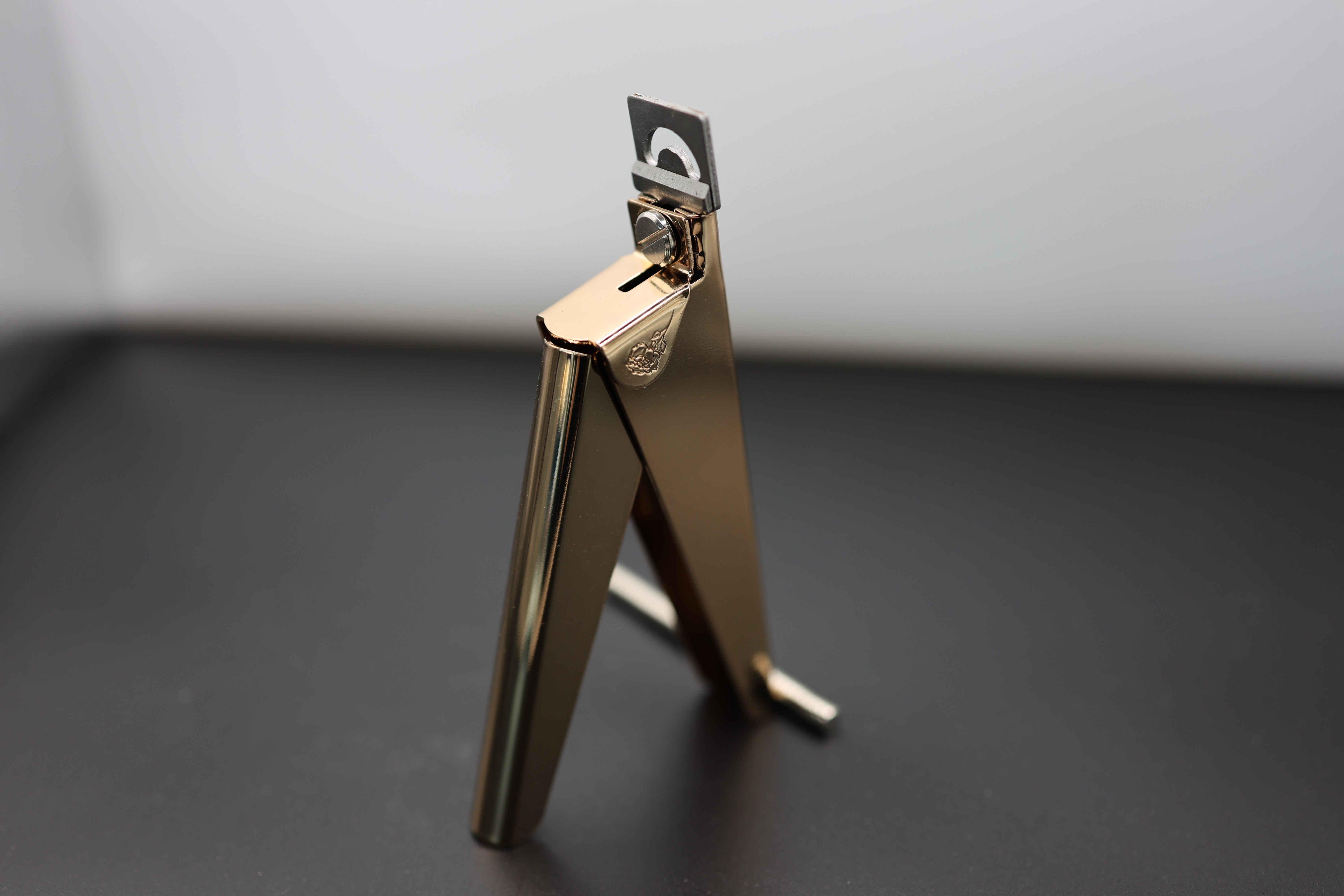 NAIL TIP CUTTER WITH MAGNET