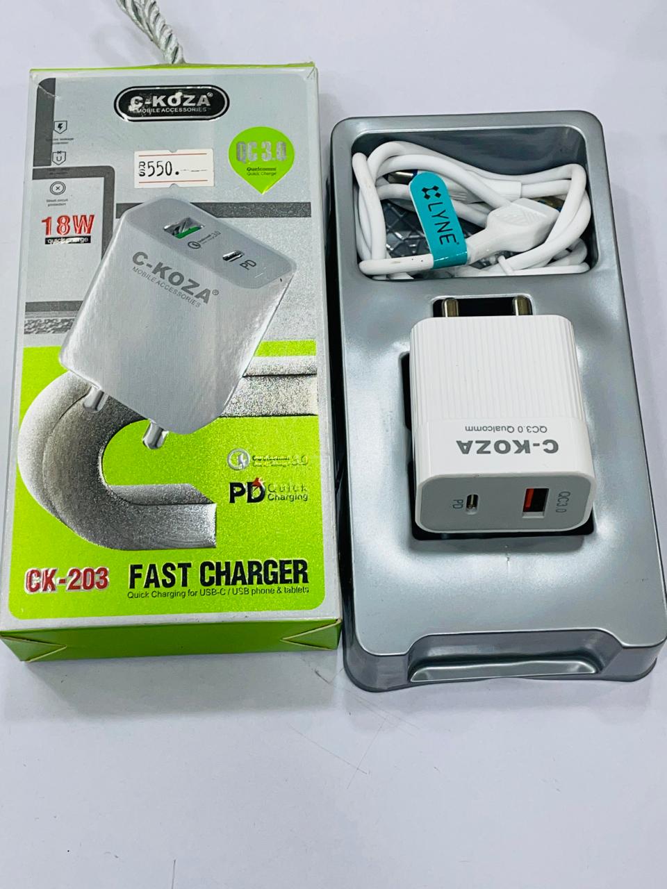 CK-203 Fast Charger