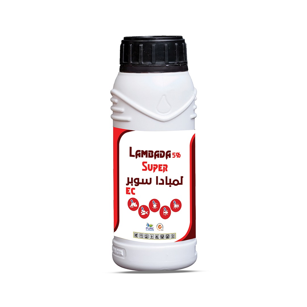 lambada  super 5%