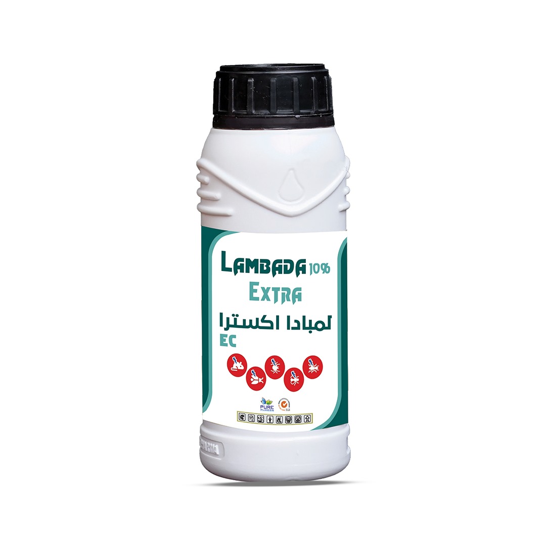 lambada  extra10%