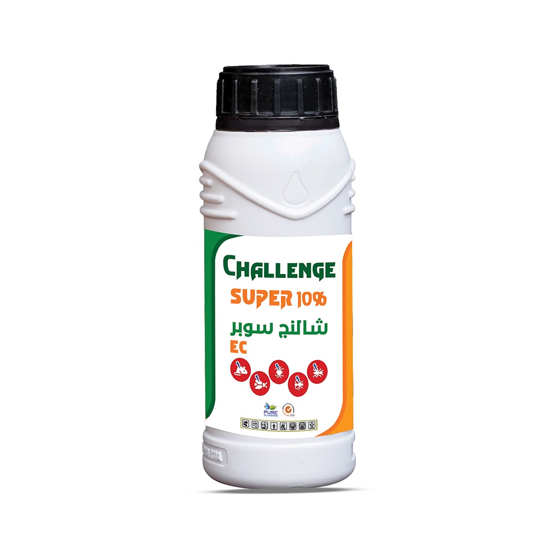 challenge super10%