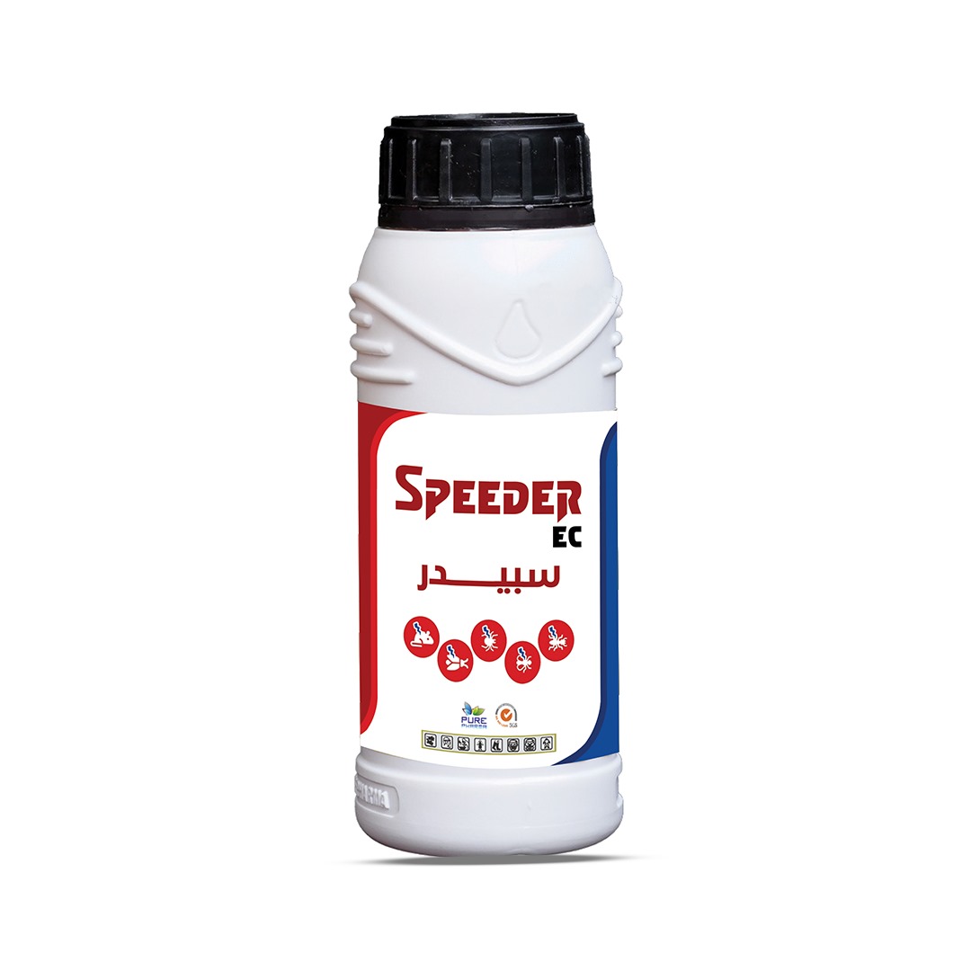 Speeder
