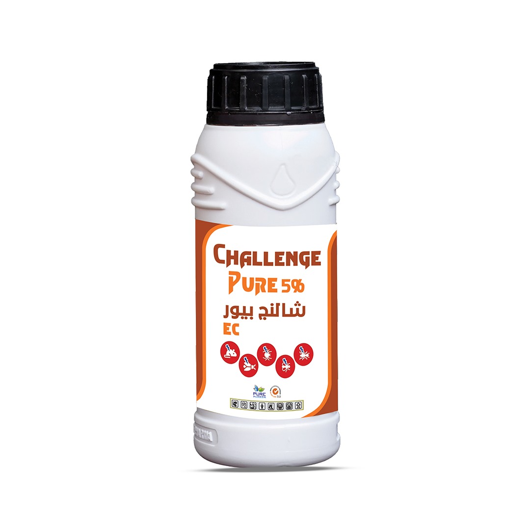 challenge pure 5%